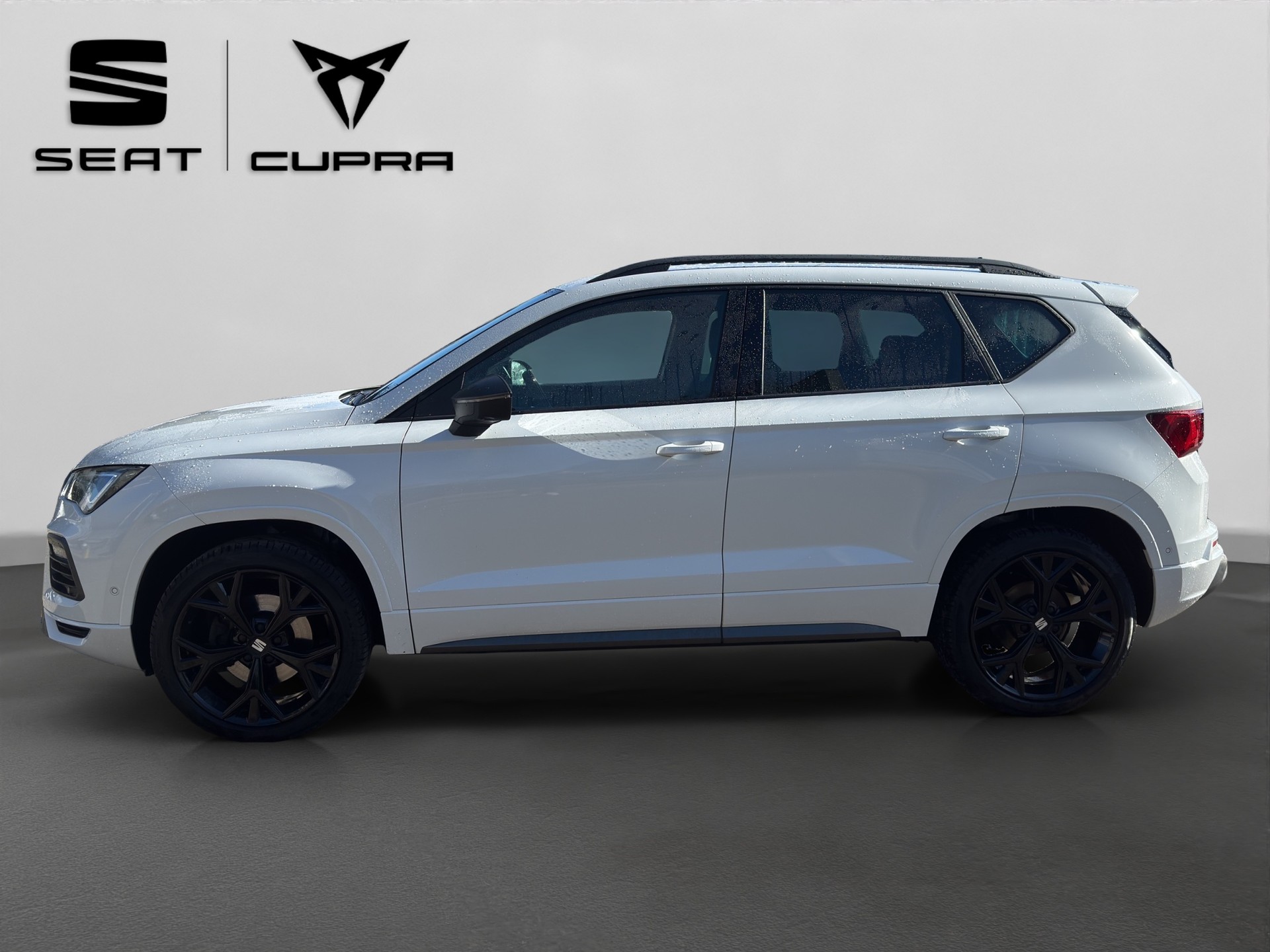 SEAT Ateca 2.0 TSI Hola FR 4Drive DSG-image-2