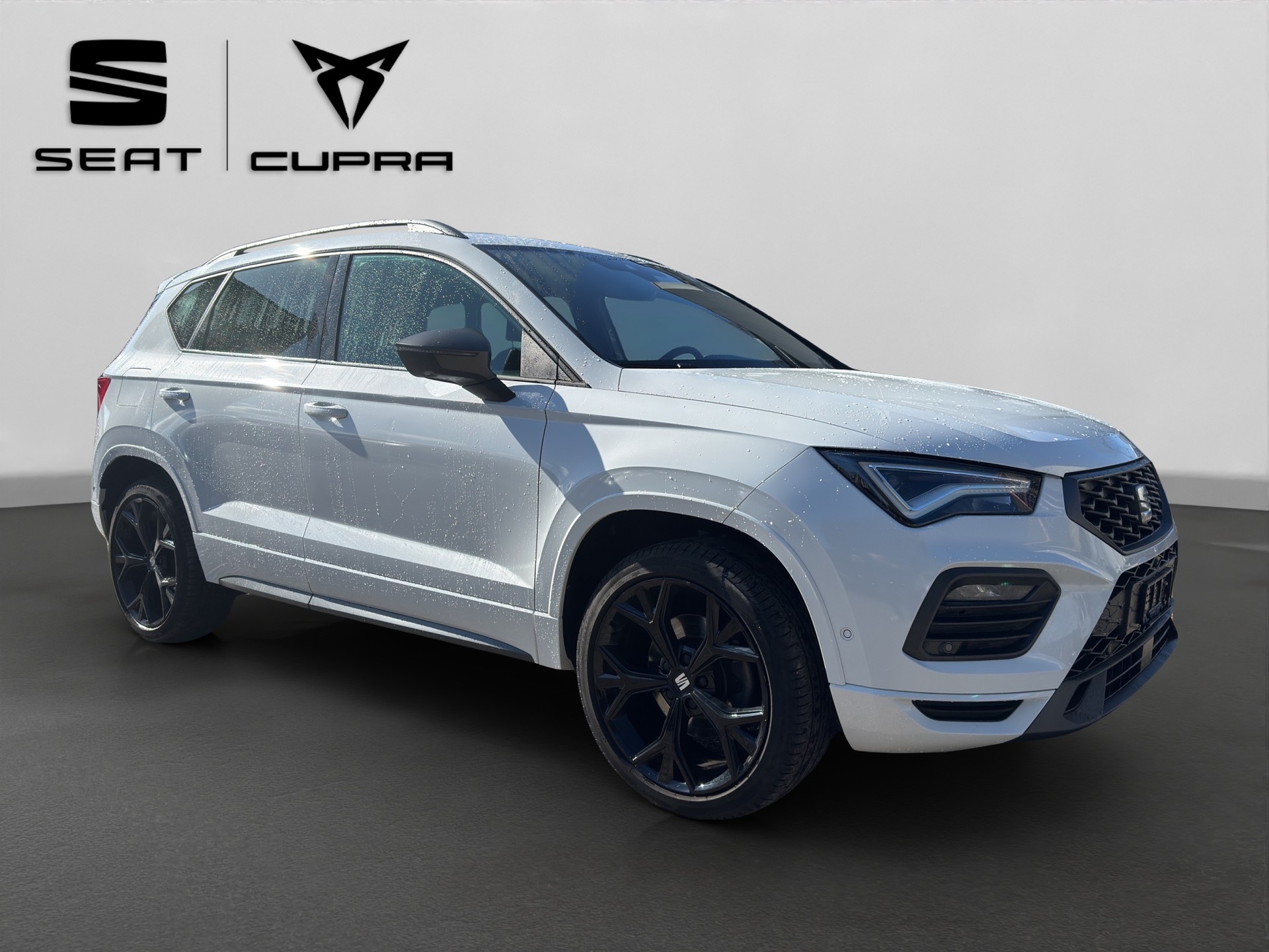 SEAT Ateca 2.0 TSI Hola FR 4Drive DSG-image-7