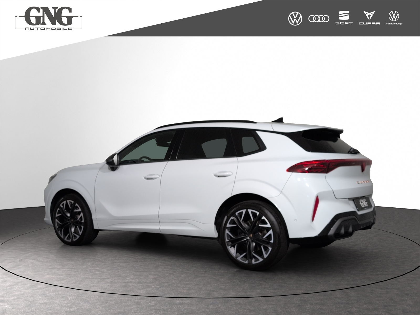CUPRA Terramar 2.0 TSI DSG 4Drive VZ-image-1