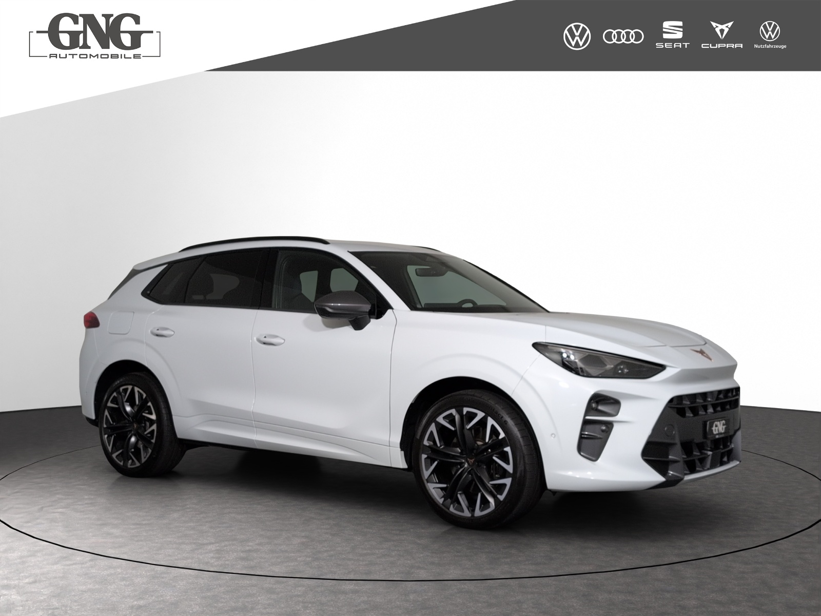 CUPRA Terramar 2.0 TSI DSG 4Drive VZ-image-3