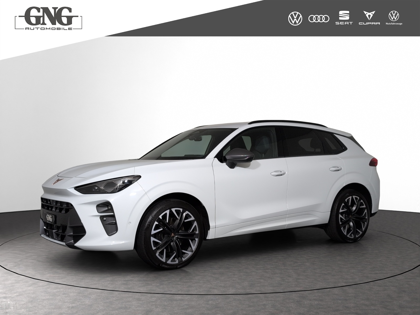 CUPRA Terramar 2.0 TSI DSG 4Drive VZ-image-0