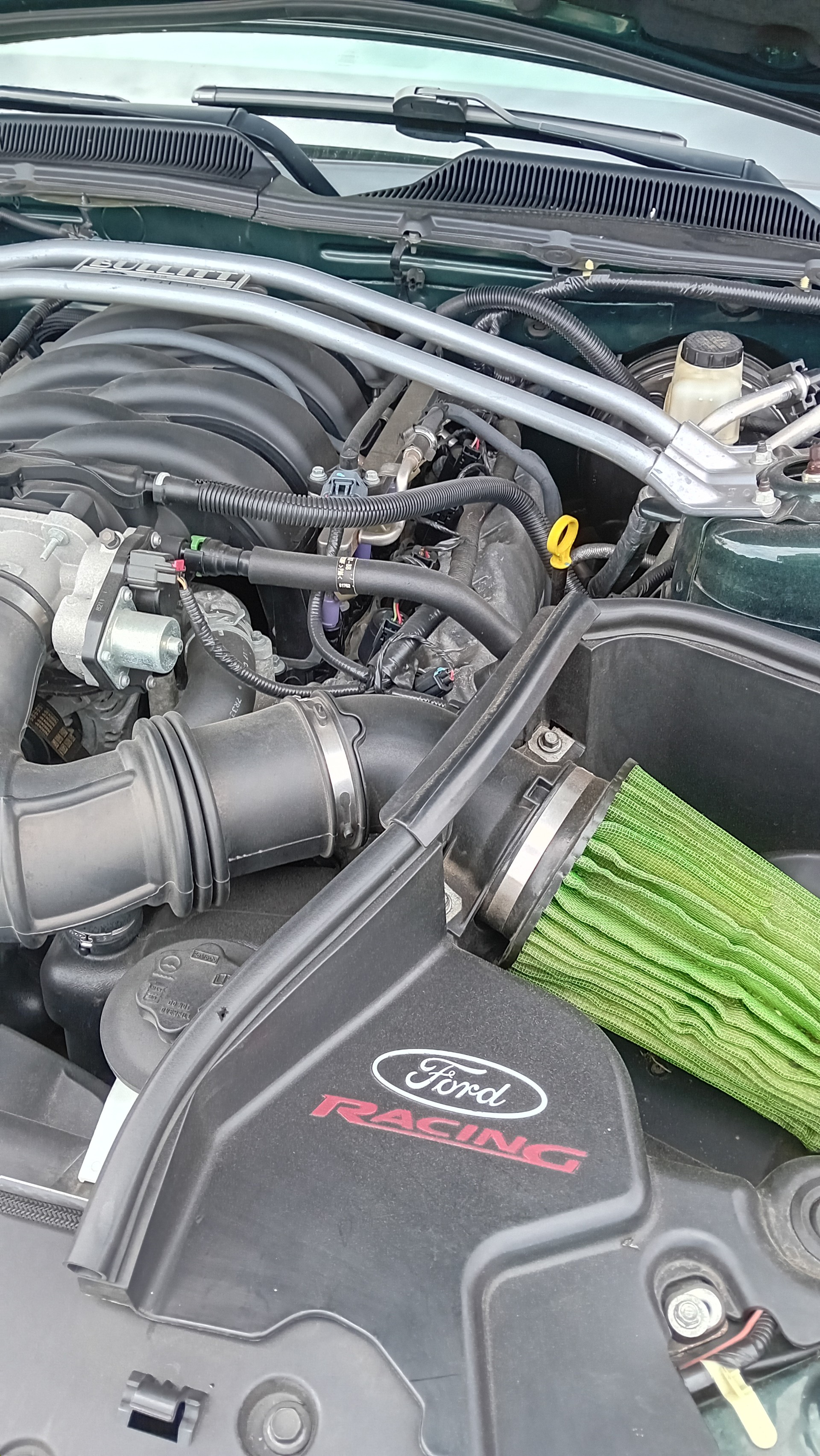 FORD Bullit-image-4
