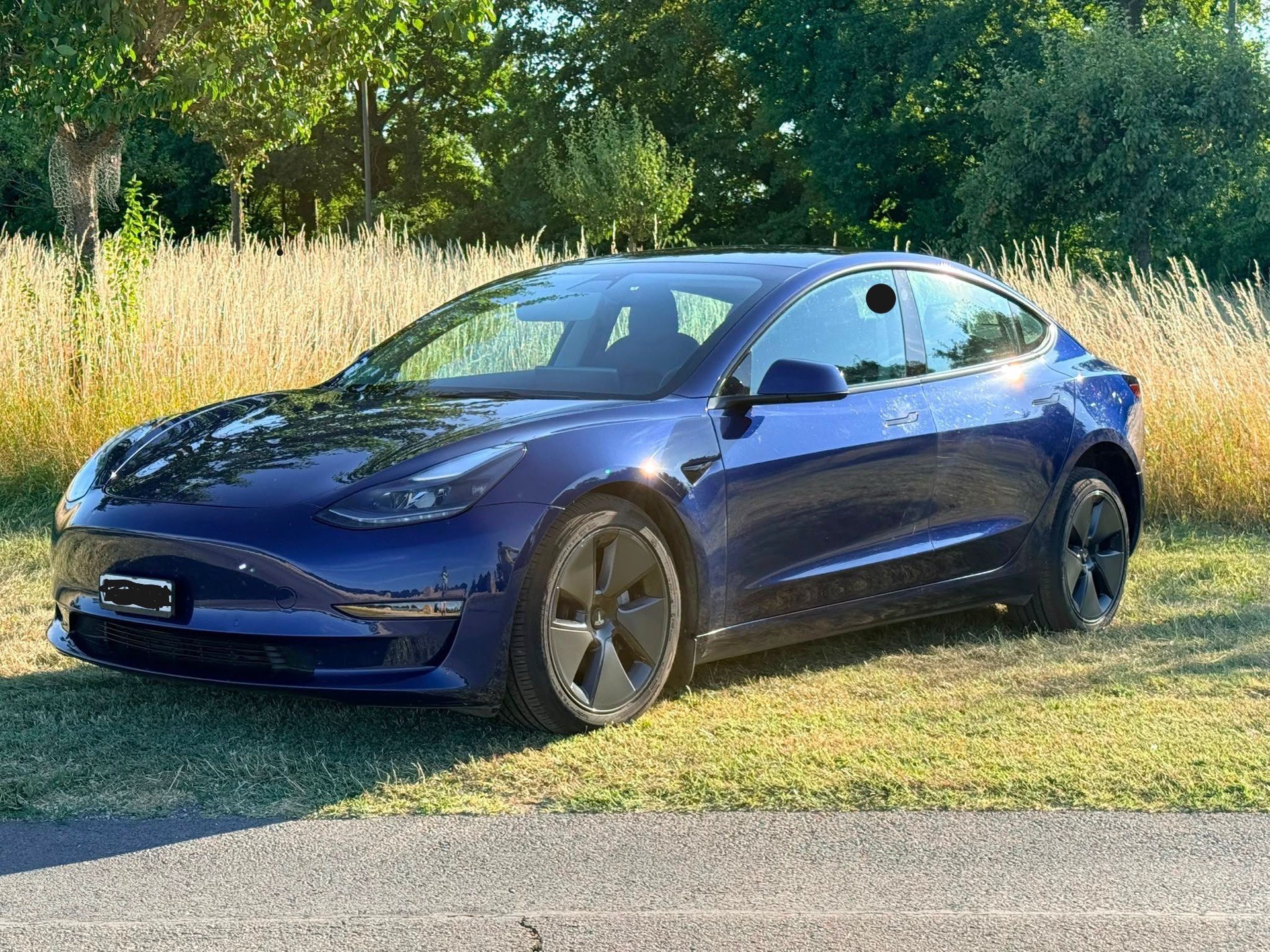 TESLA ESLA Model 3 Long Range Dual Motor AWD-image-0