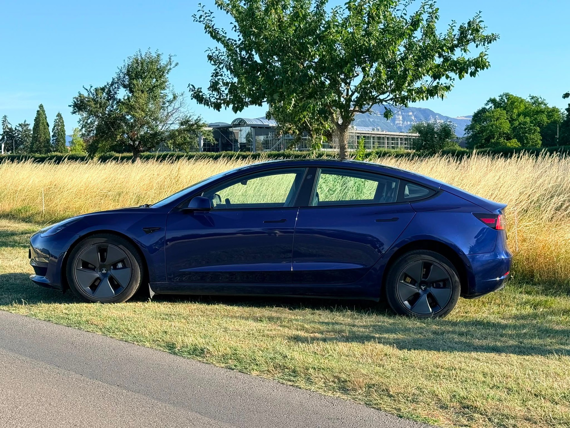 TESLA ESLA Model 3 Long Range Dual Motor AWD-image-3
