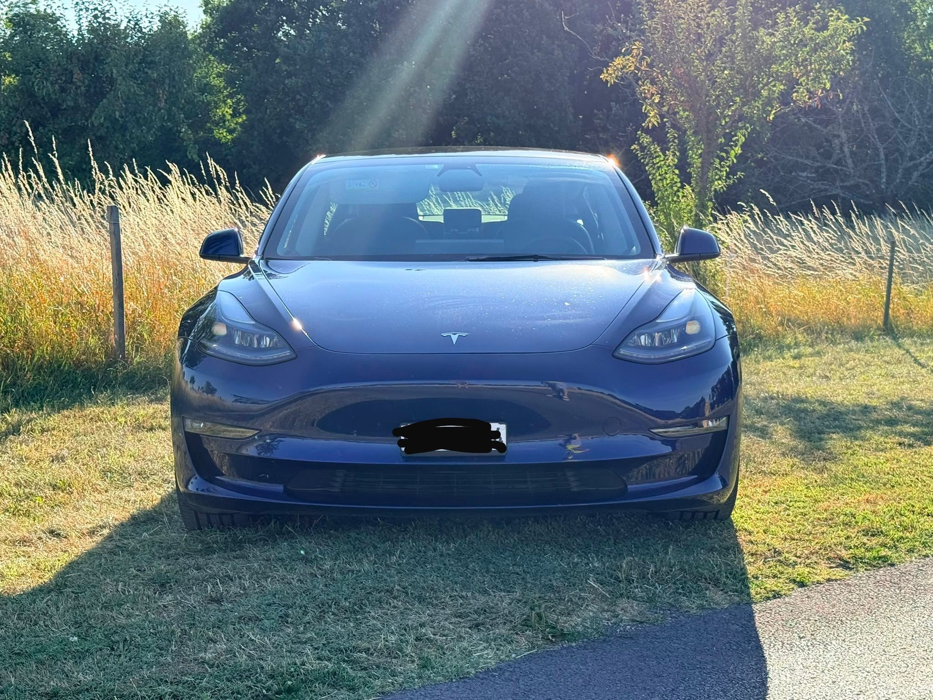 TESLA ESLA Model 3 Long Range Dual Motor AWD-image-4
