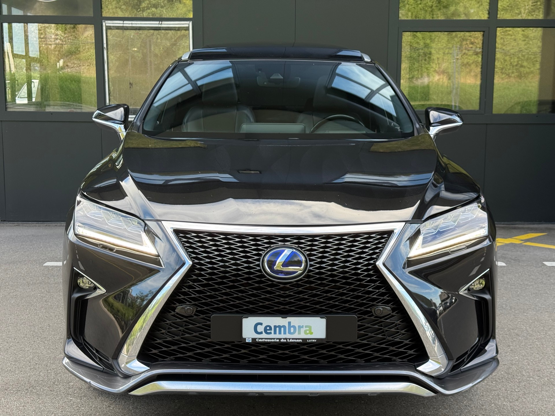 LEXUS RX 450h F-Sport AWD CVT-image-2