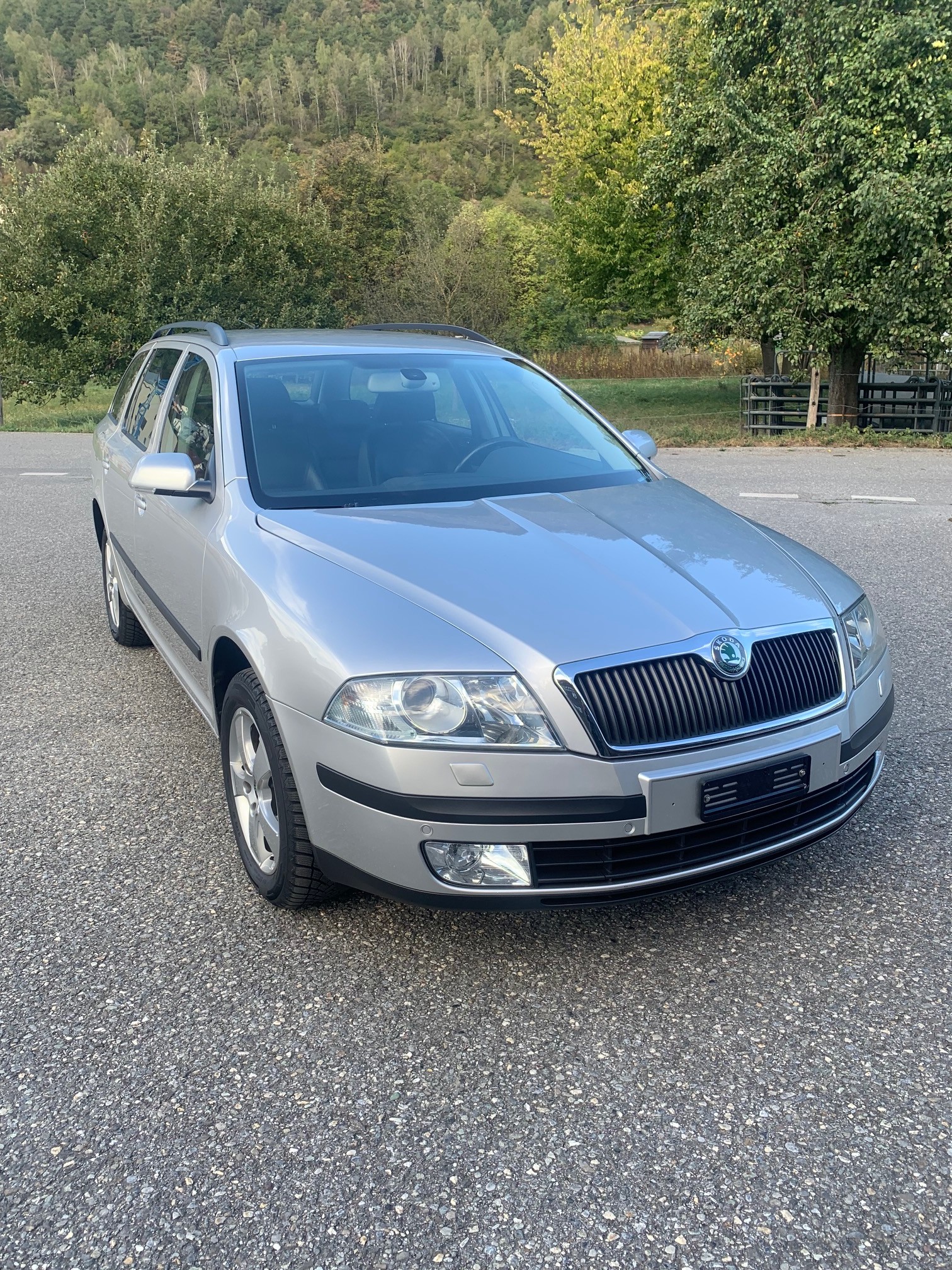 SKODA 1.9 TDI 105 Swiss Adv. 4x4