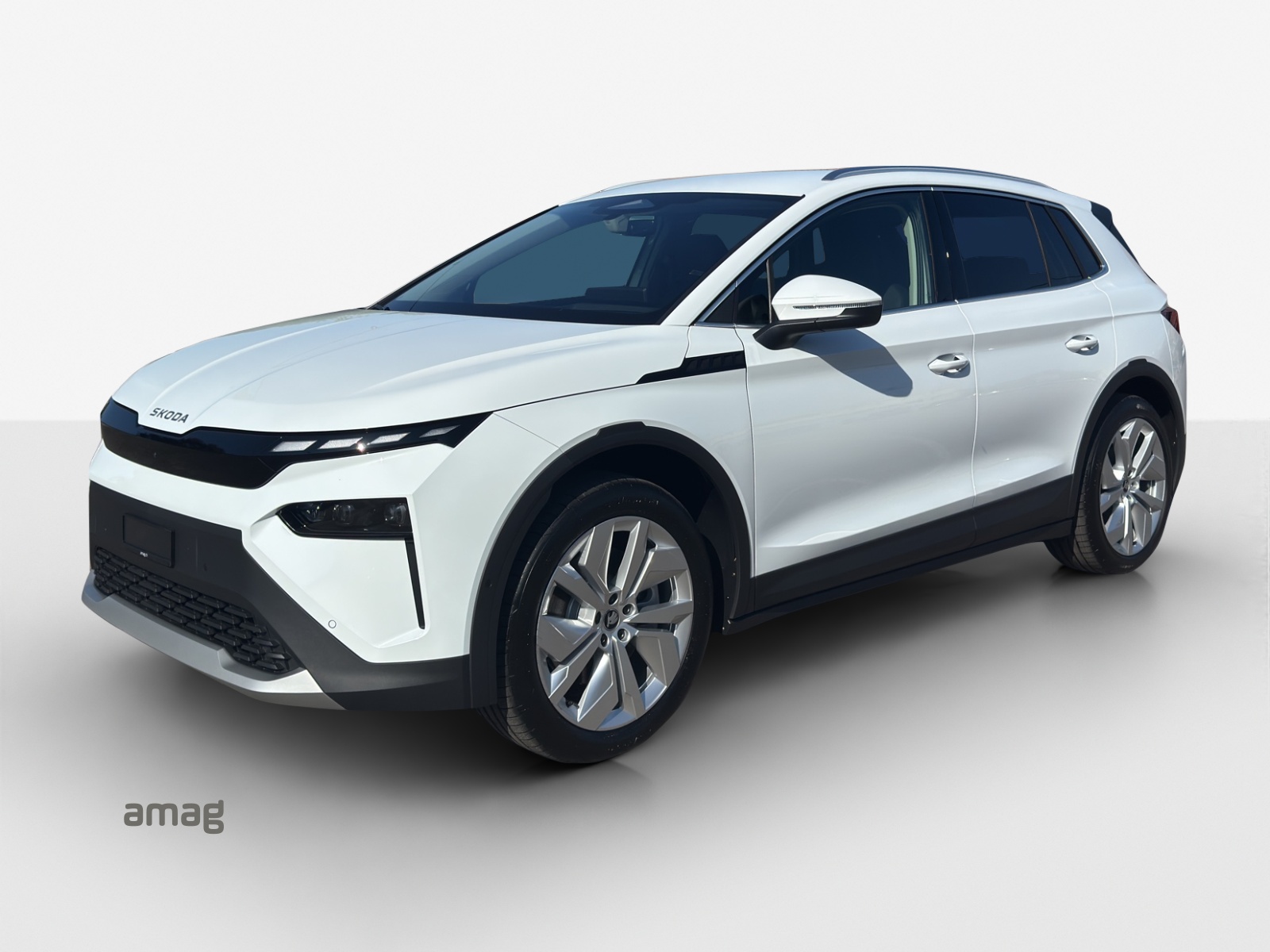 SKODA Skoda Elroq Selection 85 4x4-image-0