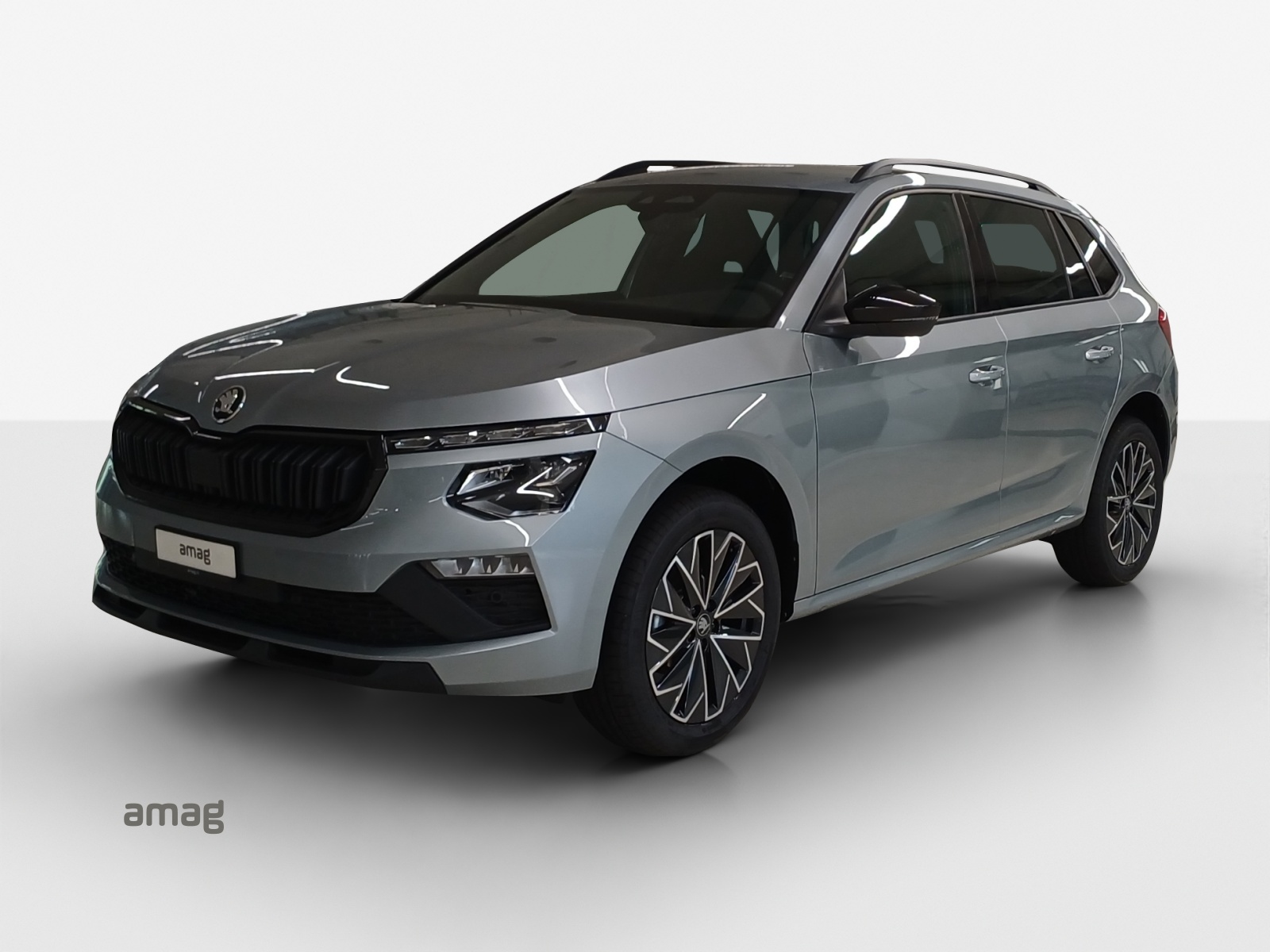 SKODA Kamiq 1.5 TSI Dynamic DSG-image-0