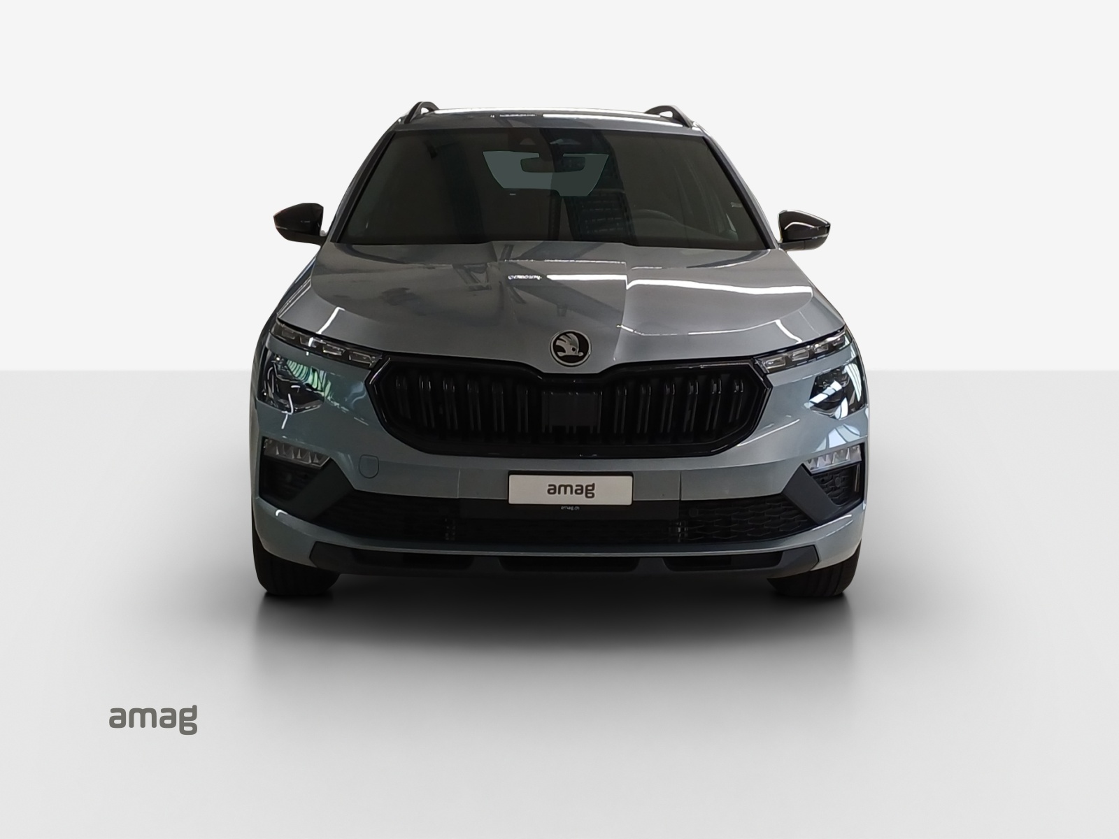 SKODA Kamiq 1.5 TSI Dynamic DSG-image-6