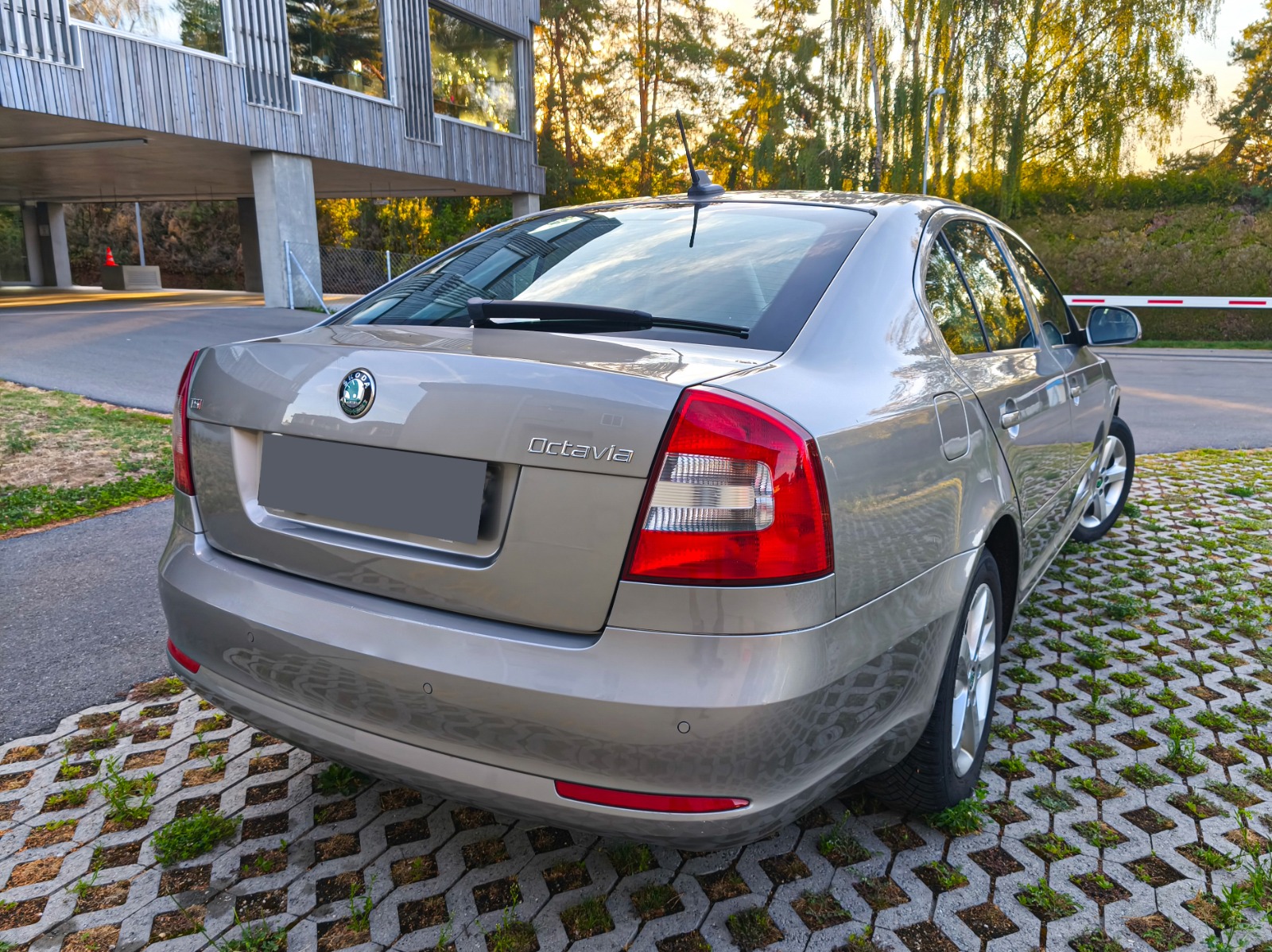 SKODA Octavia 1.8 TSI Elegance DSG-image-3
