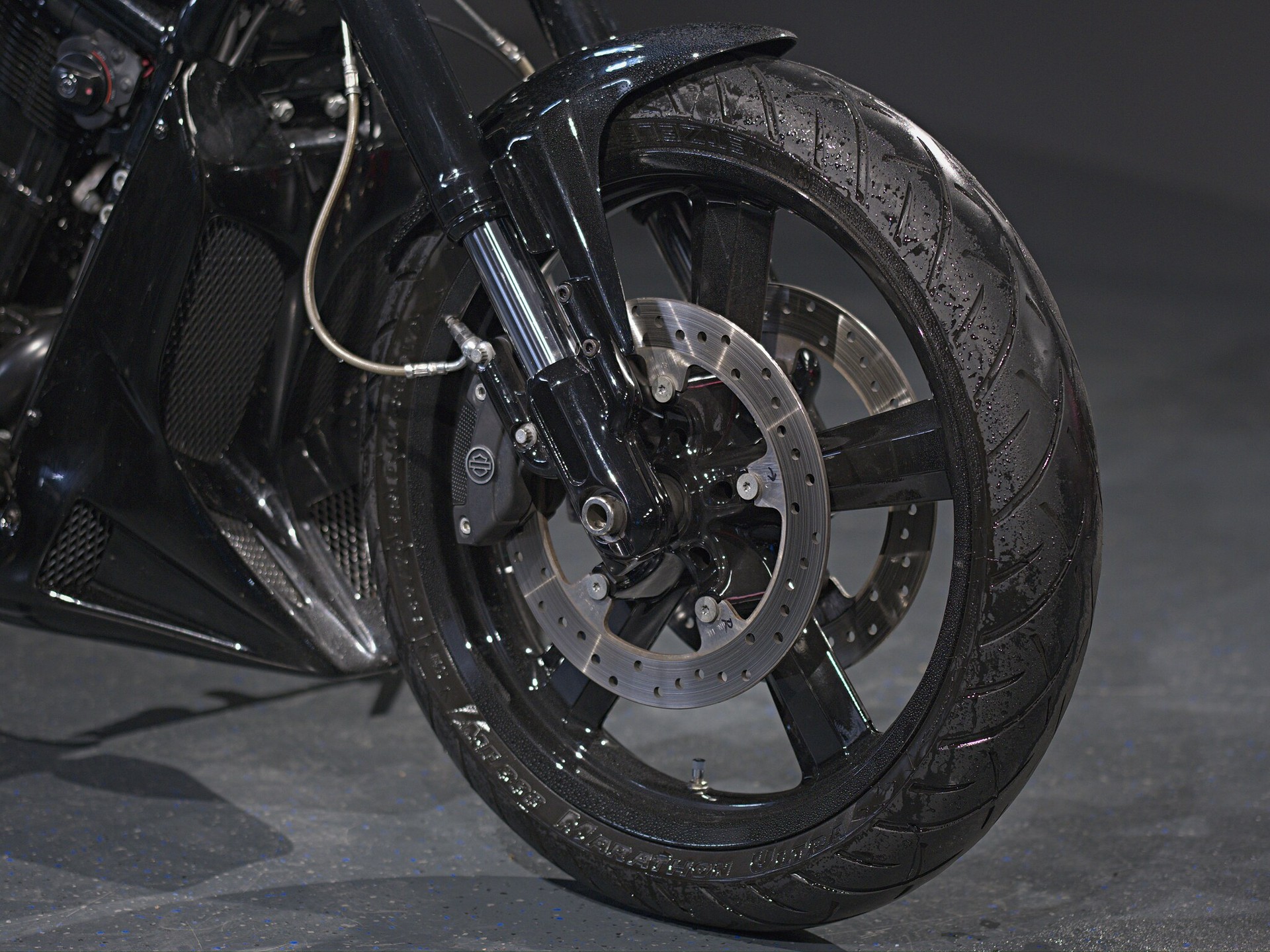 HARLEY-DAVIDSON VRSCF V-Rod Muscle ABS-image-14