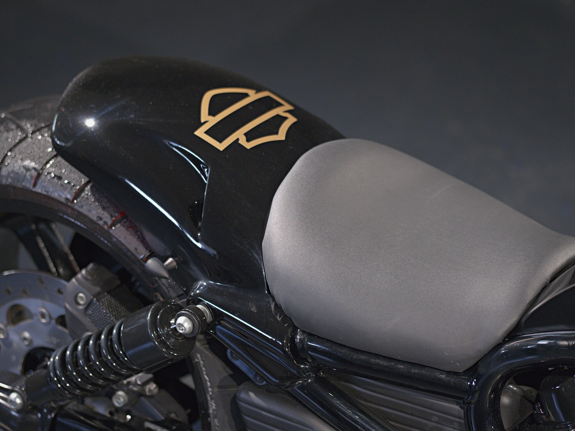 HARLEY-DAVIDSON VRSCF V-Rod Muscle ABS-image-13