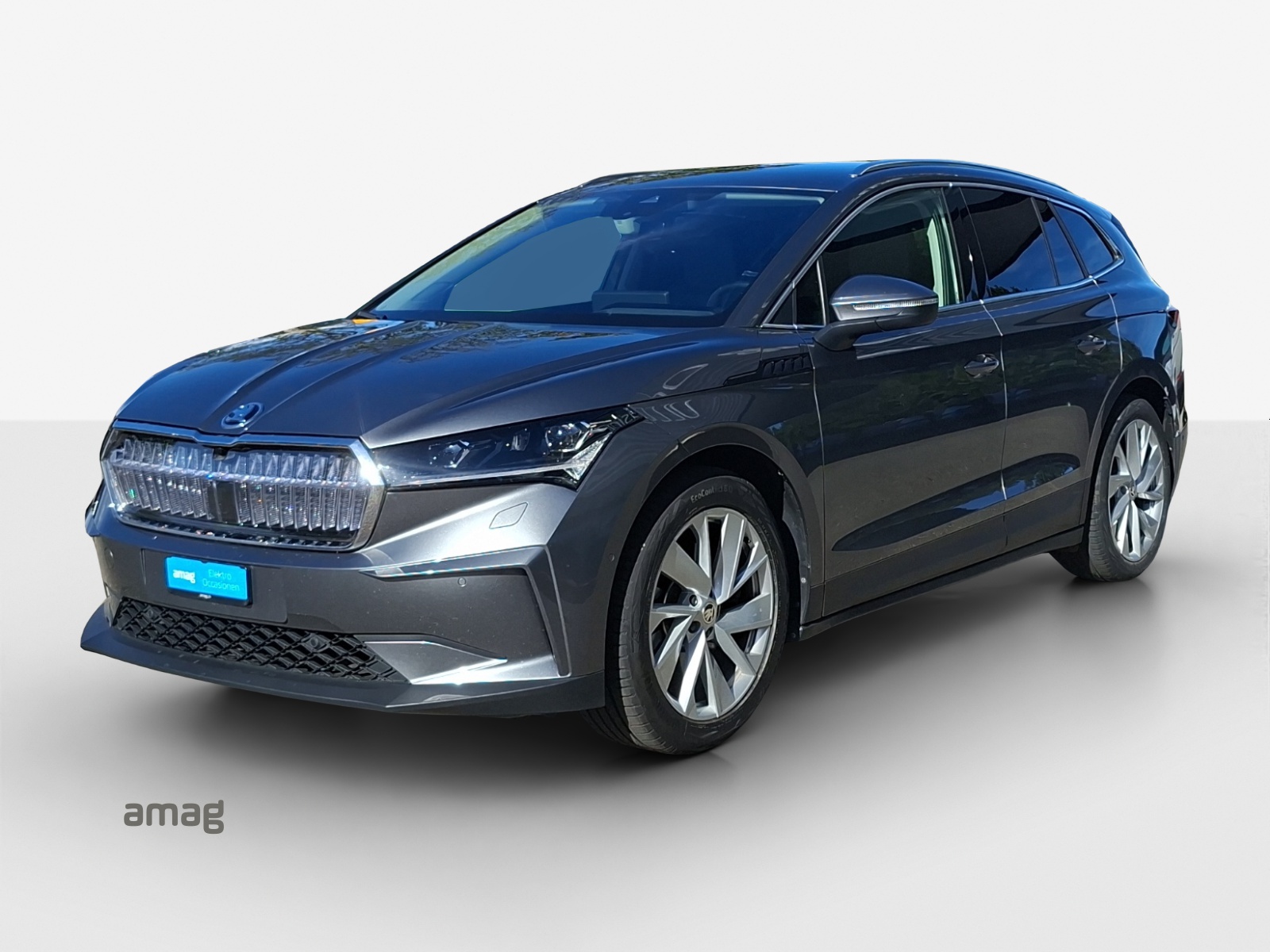 SKODA Enyaq iV 80x-image-0