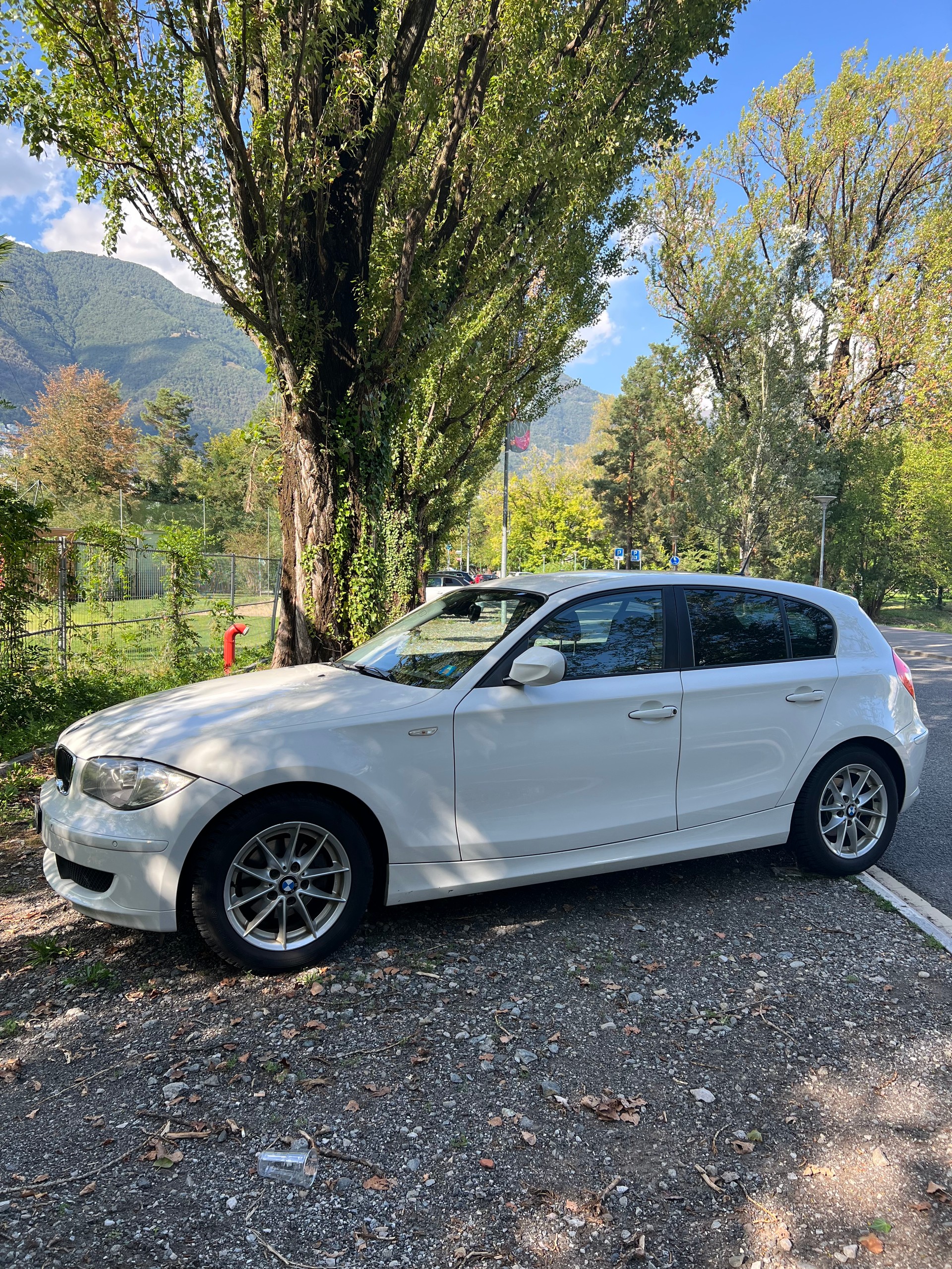 BMW 116i-image-0