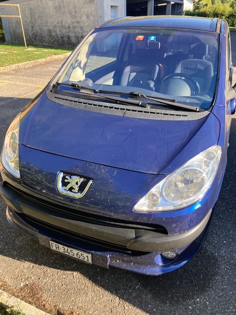 PEUGEOT 1007-image-1