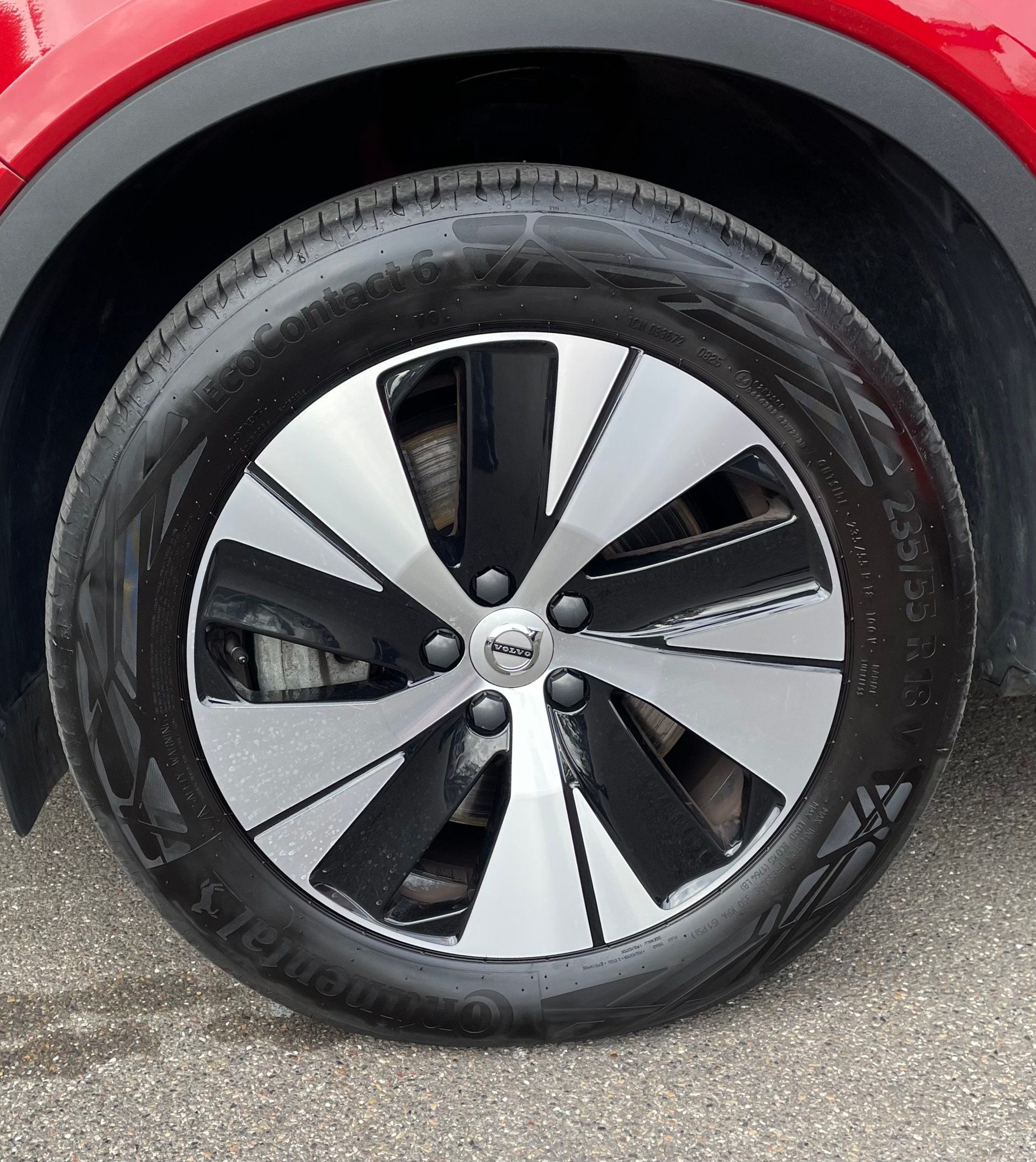 VOLVO XC40 1.5 T4 PiH R-Design-image-10