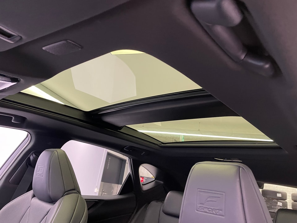 NX 350h F Sport E-FOUR Voll-Hybrid