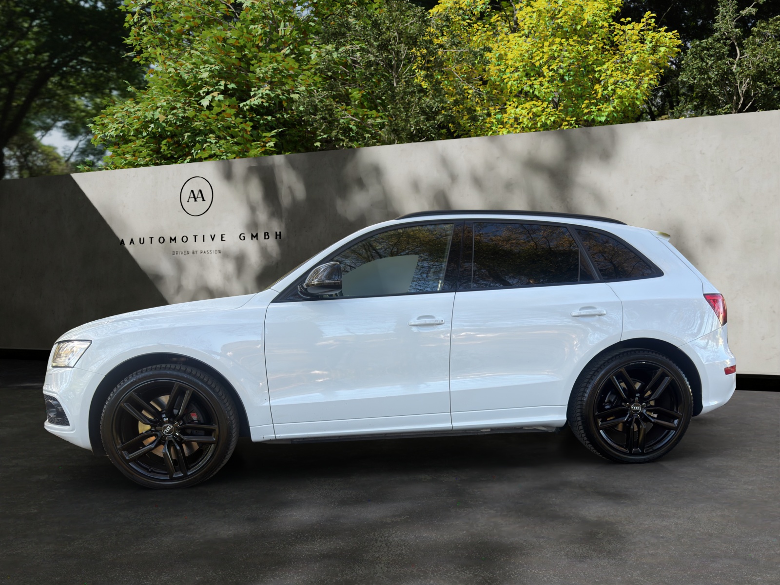 AUDI SQ5 3.0 TDI quattro tiptronic-showroom-element-2