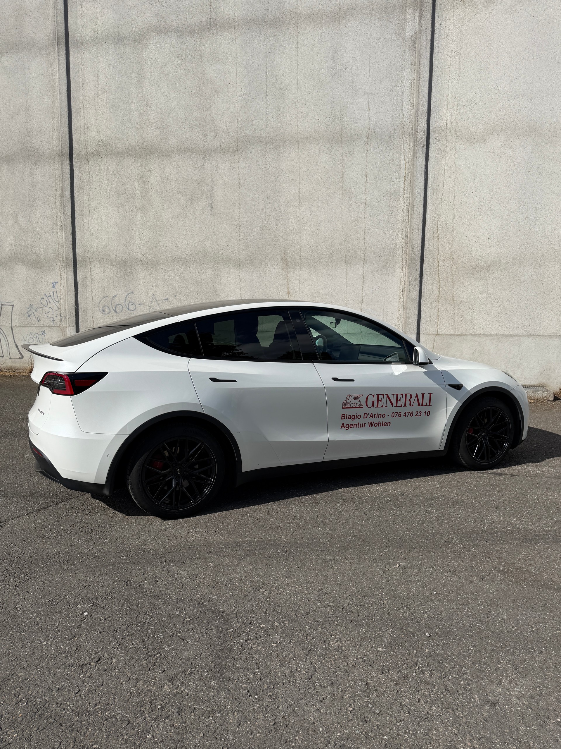 TESLA Model Y Performance-image-3