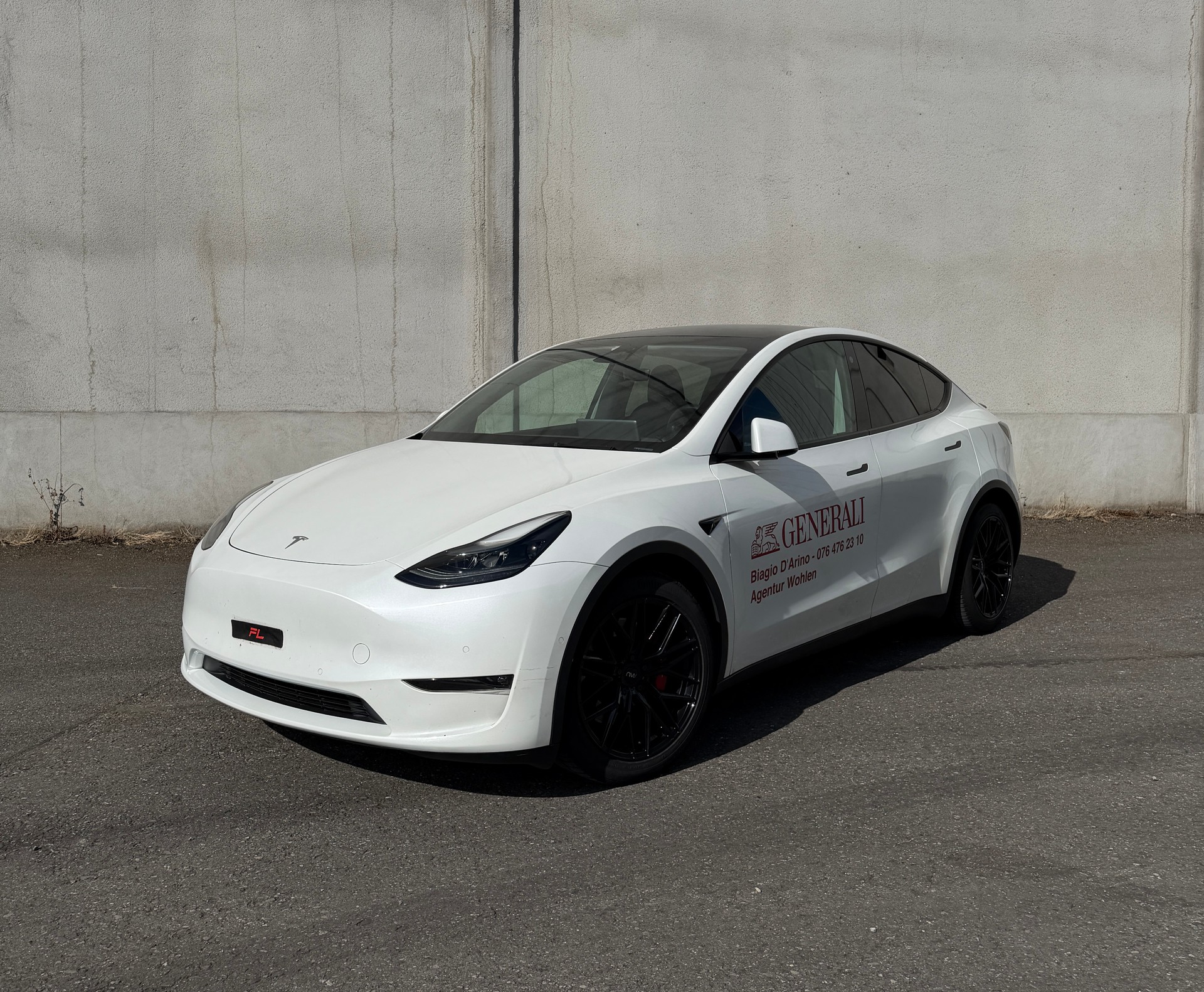 TESLA Model Y Performance-image-0