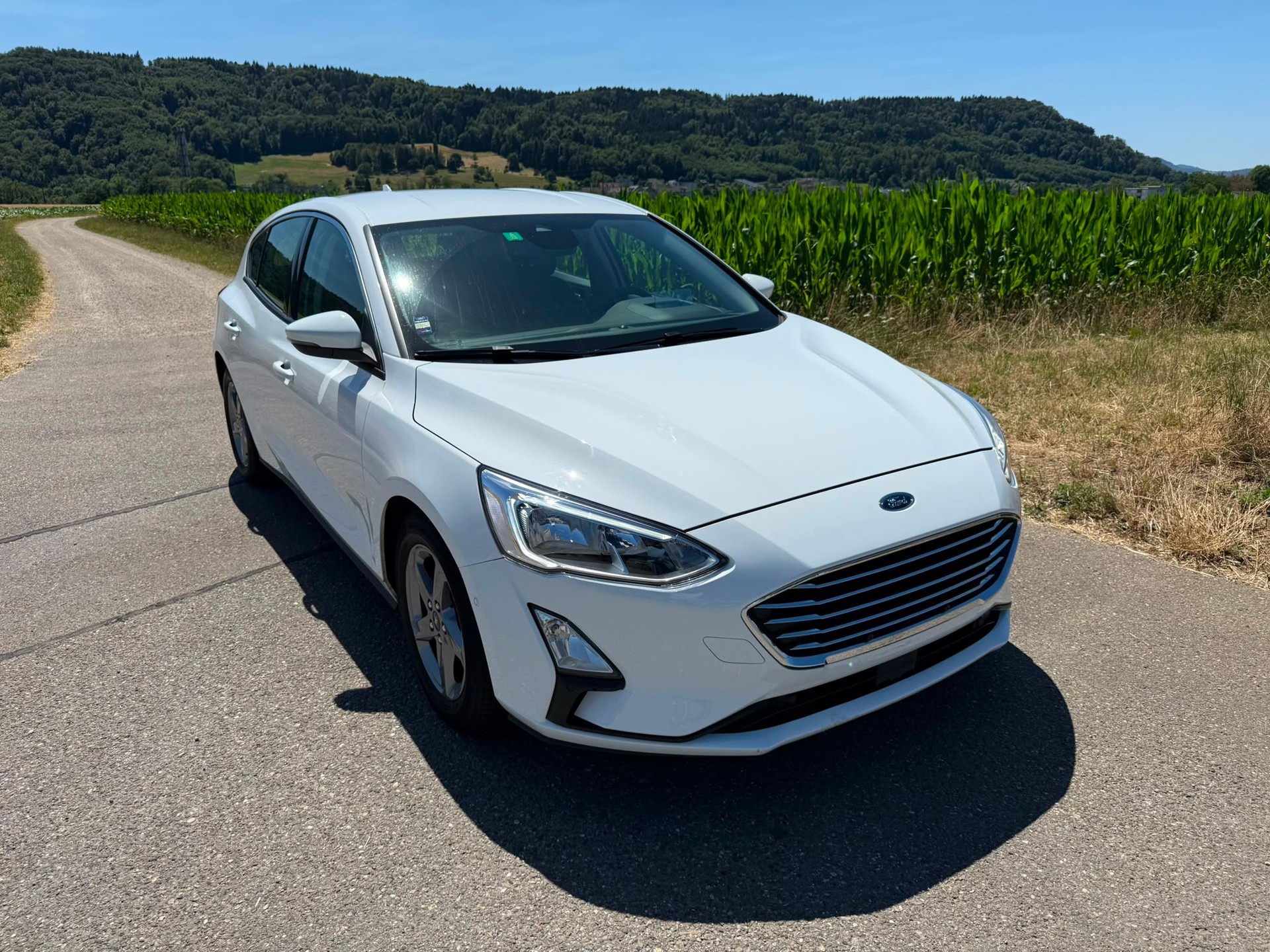 FORD Focus 1.5 TDCi Business Automatic-image-6
