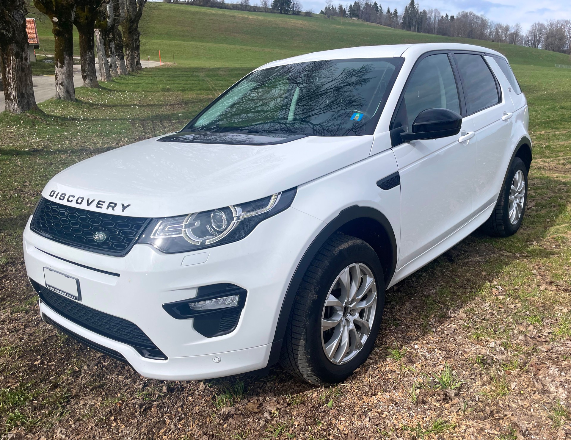 LAND ROVER Discovery Sport 2.0 SD4 SE AT9-image-0