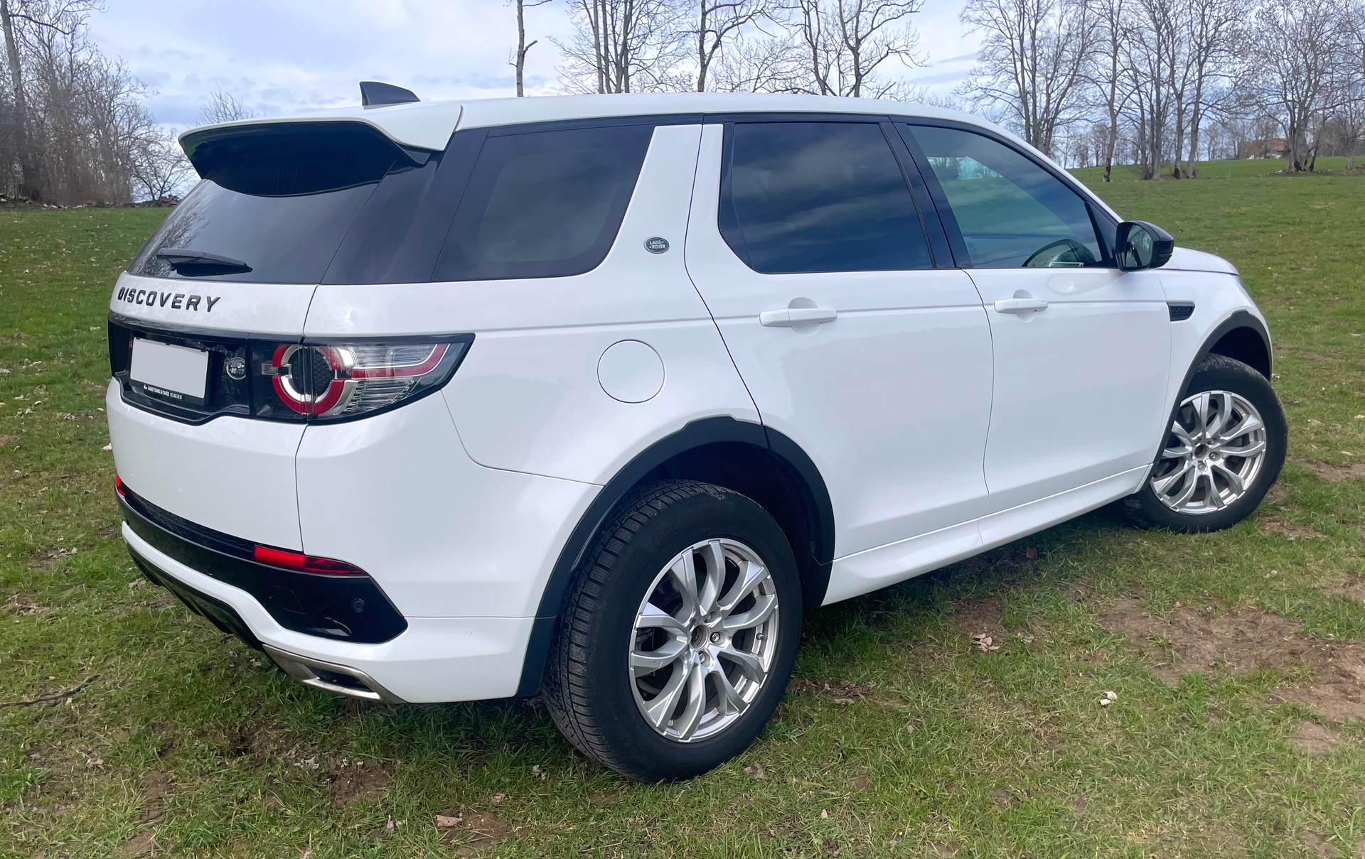 LAND ROVER Discovery Sport 2.0 SD4 SE AT9-image-1