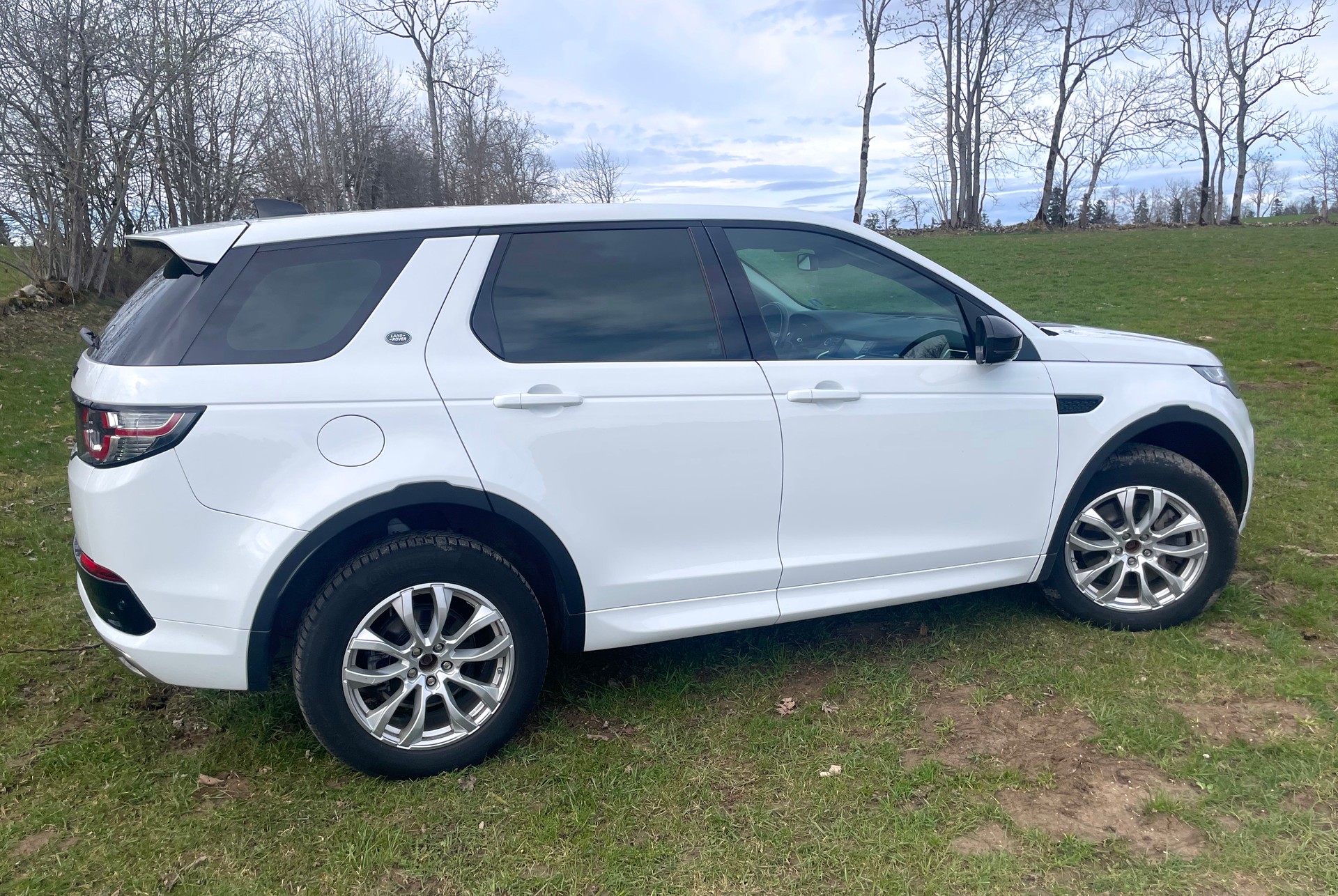 LAND ROVER Discovery Sport 2.0 SD4 SE AT9-image-3