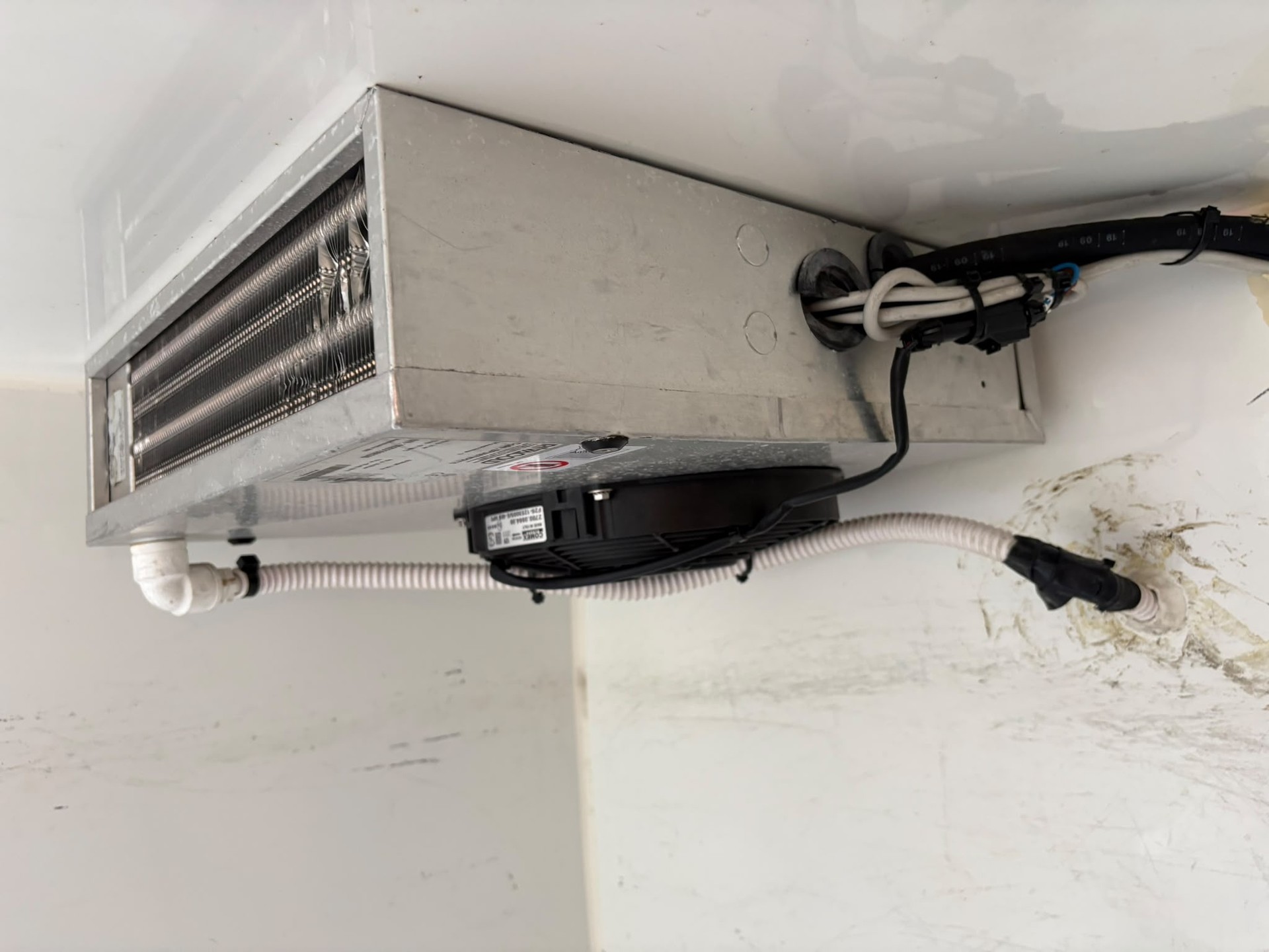 FIAT Doblò 1.6 Multijet Cargo Base XL Frigo +8°C-image-15