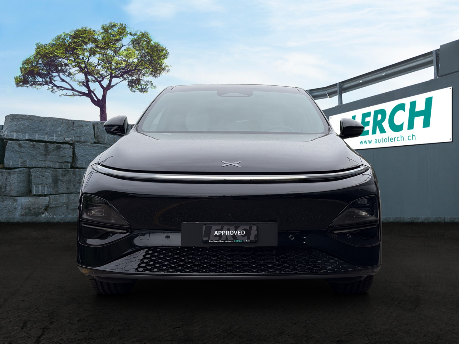 XPENG G6 80kWh Performance AWD-showroom-element-1