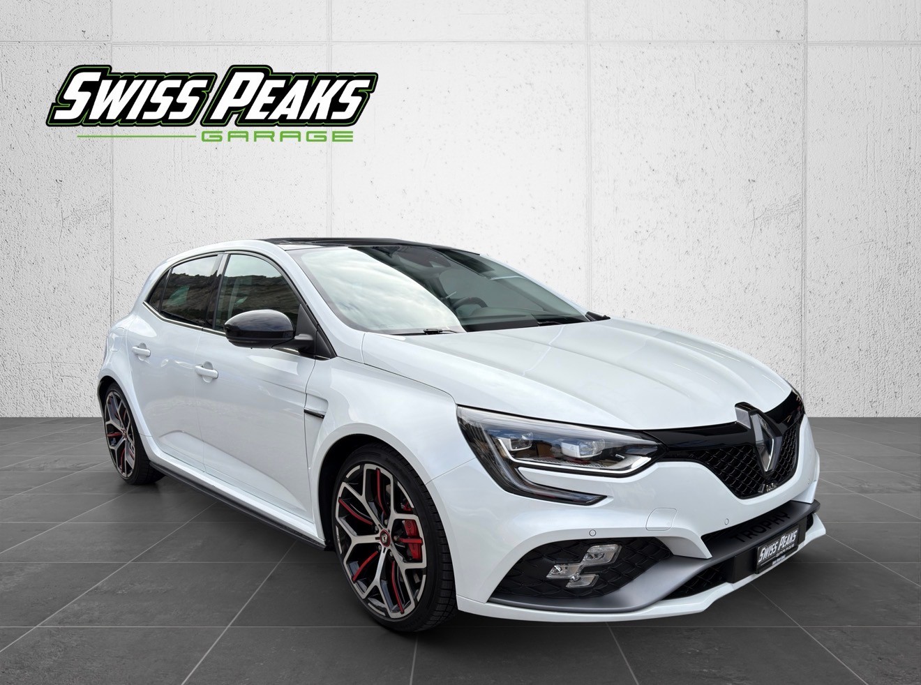 RENAULT Mégane Trophy 300-image-6