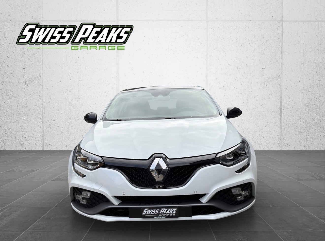 RENAULT Mégane Trophy 300-image-7