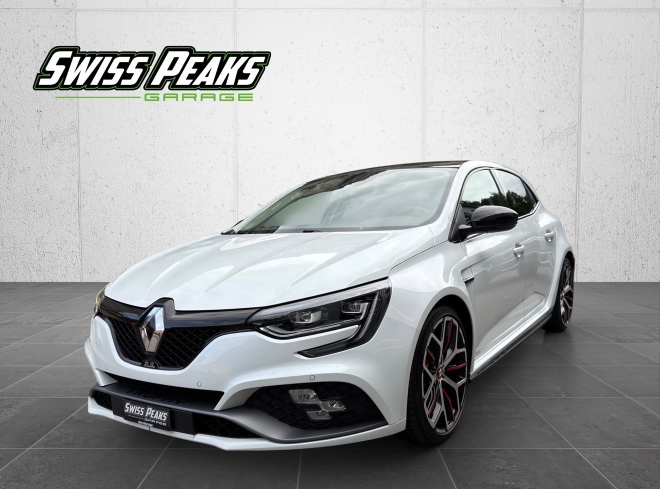RENAULT Mégane Trophy 300-image-0