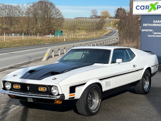 FORD Mach 1 429 Cobra jet-image-2
