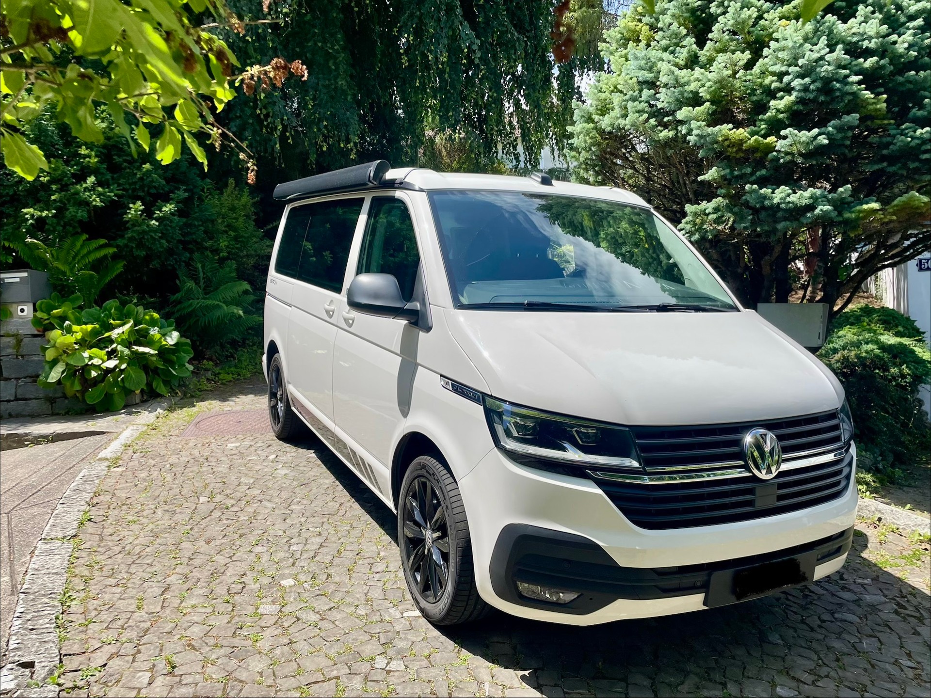 VW Beach-image-1