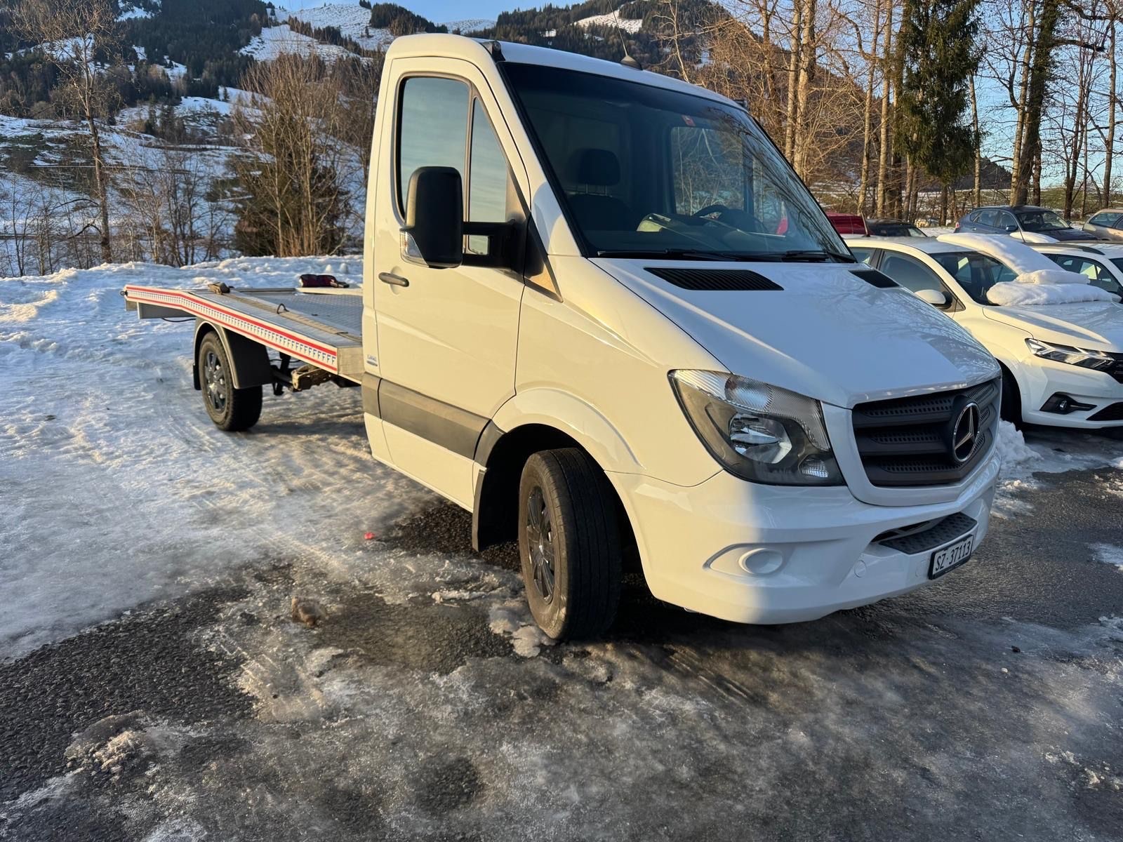 MERCEDES-BENZ 3.0 V6 CDI Autotransporter-image-3
