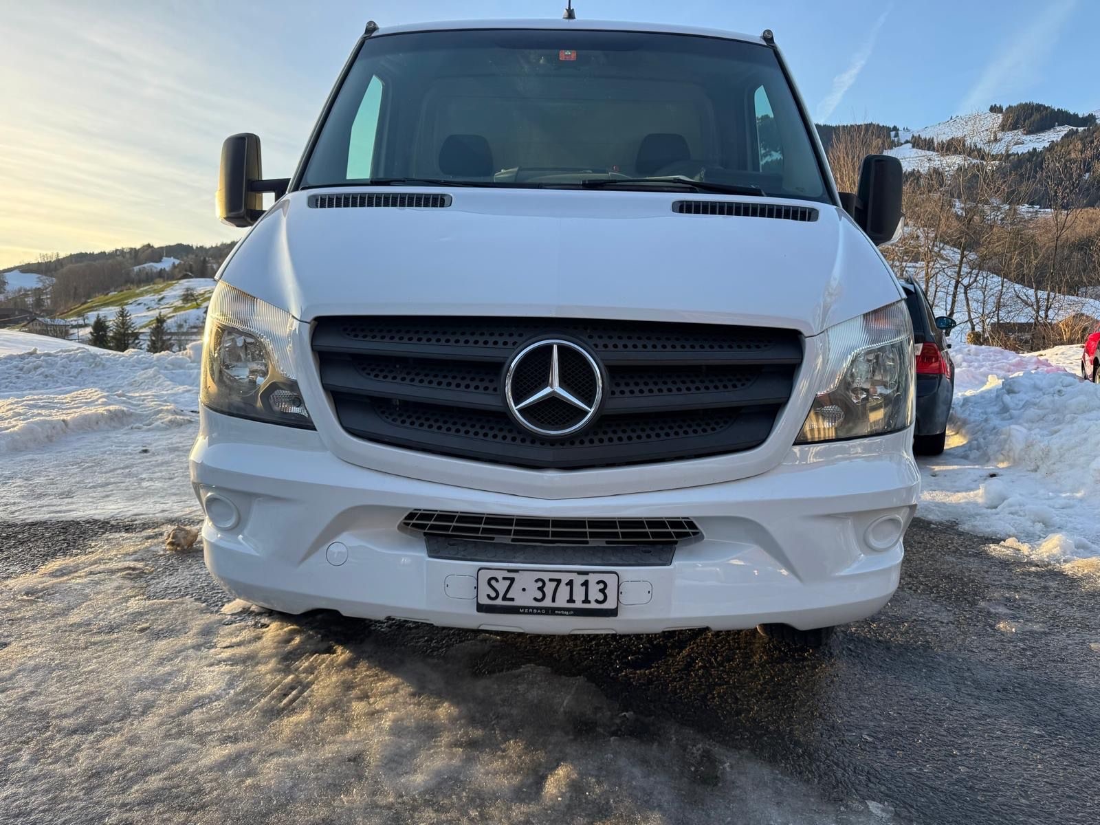 MERCEDES-BENZ 3.0 V6 CDI Autotransporter-image-4