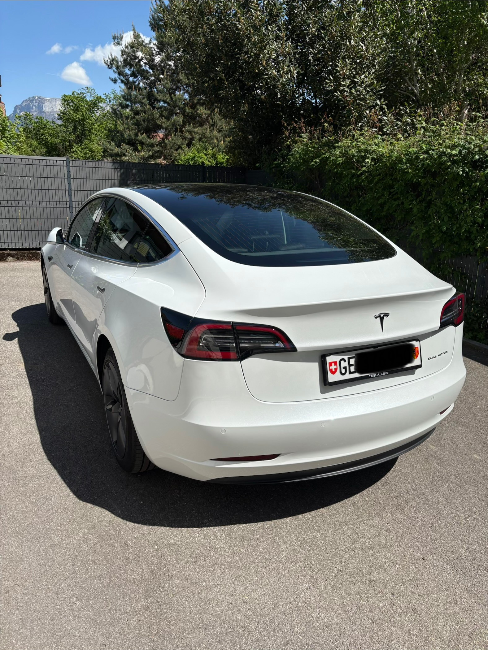 TESLA AWD Long Range Dual Motor-image-2