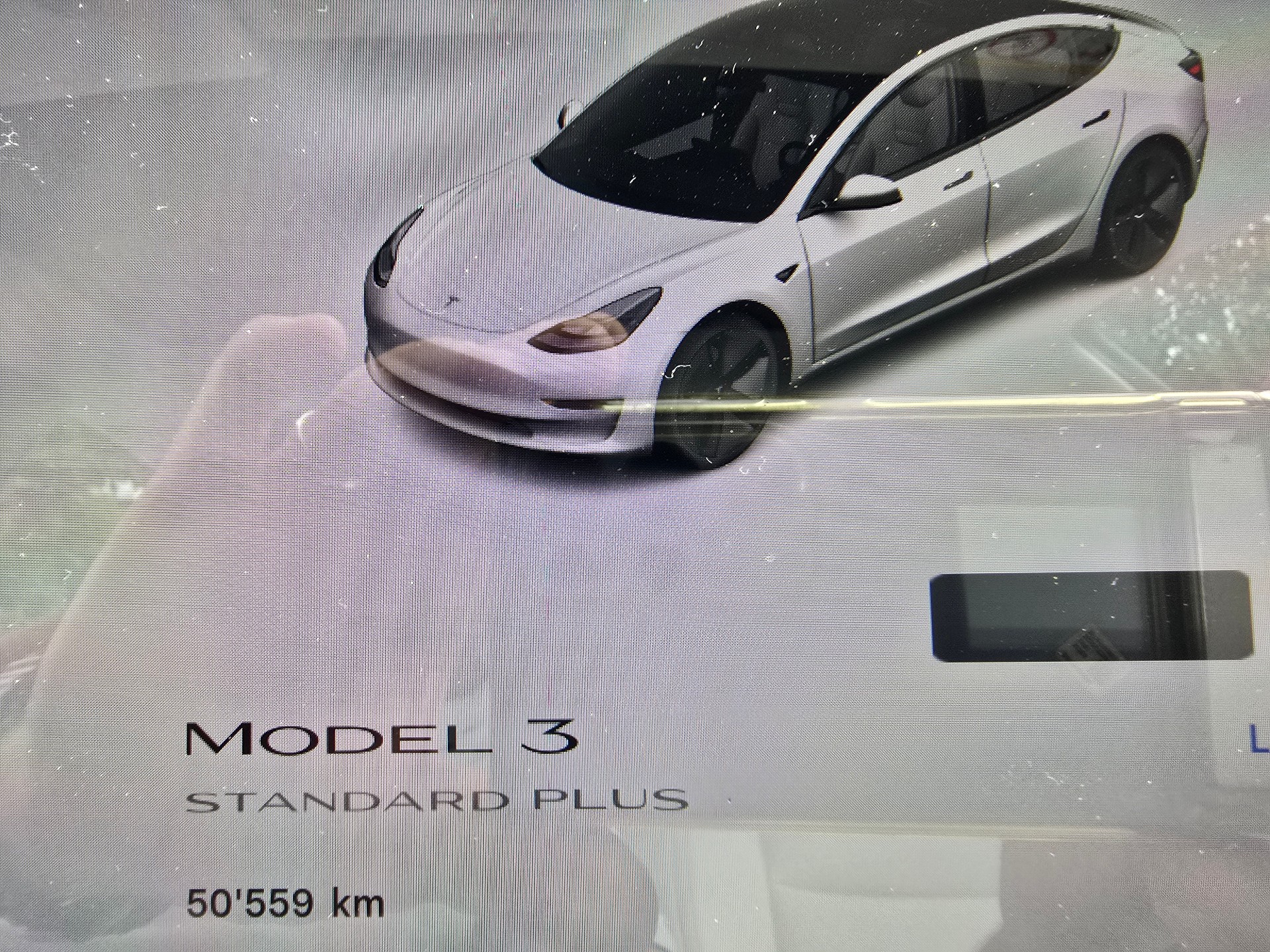 TESLA Standart Range Plus-image-11