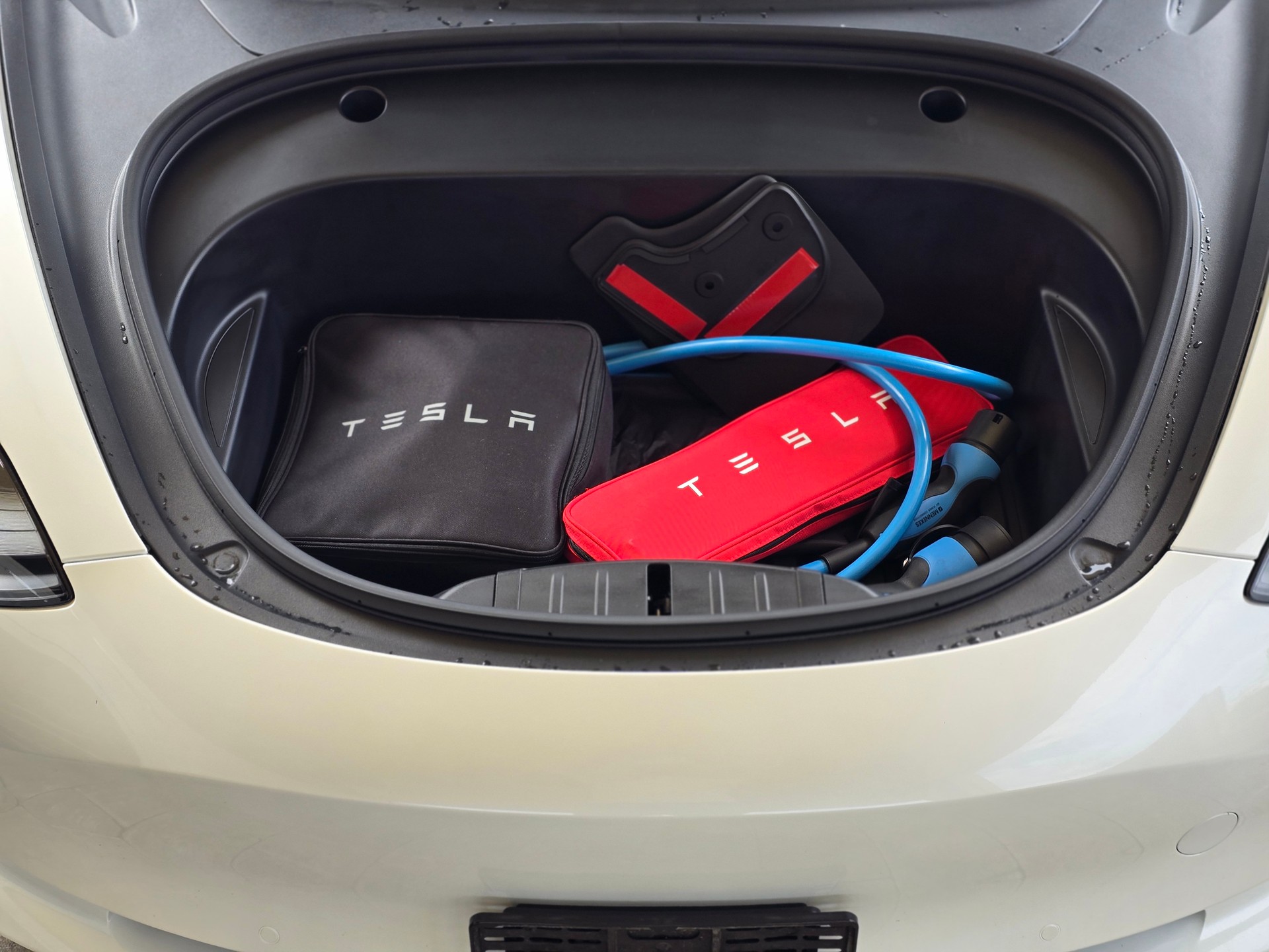 TESLA Standart Range Plus-image-8