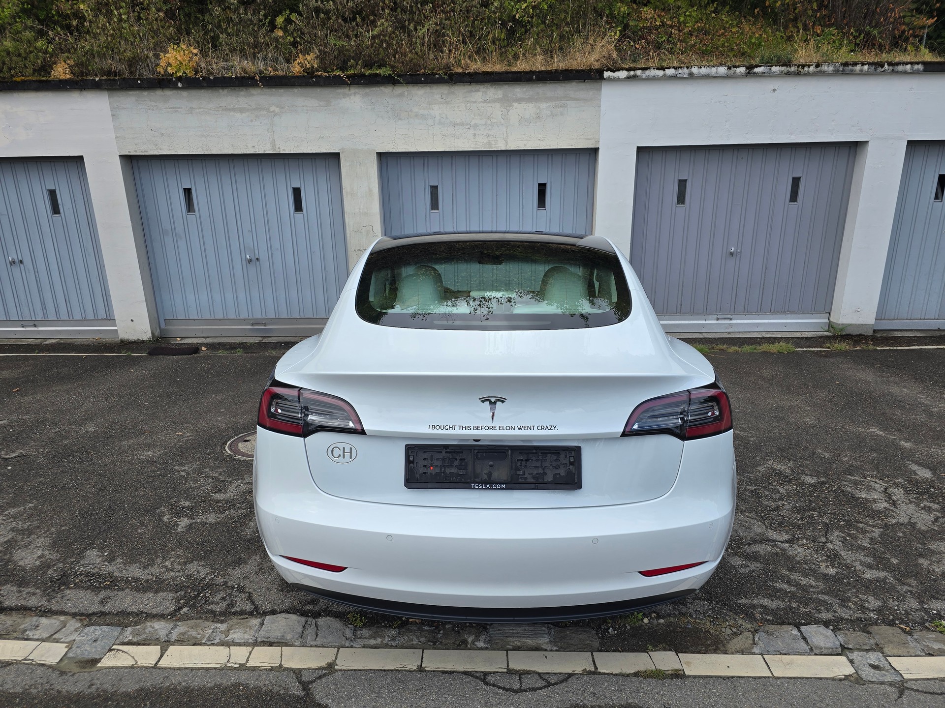 TESLA Standart Range Plus-image-1