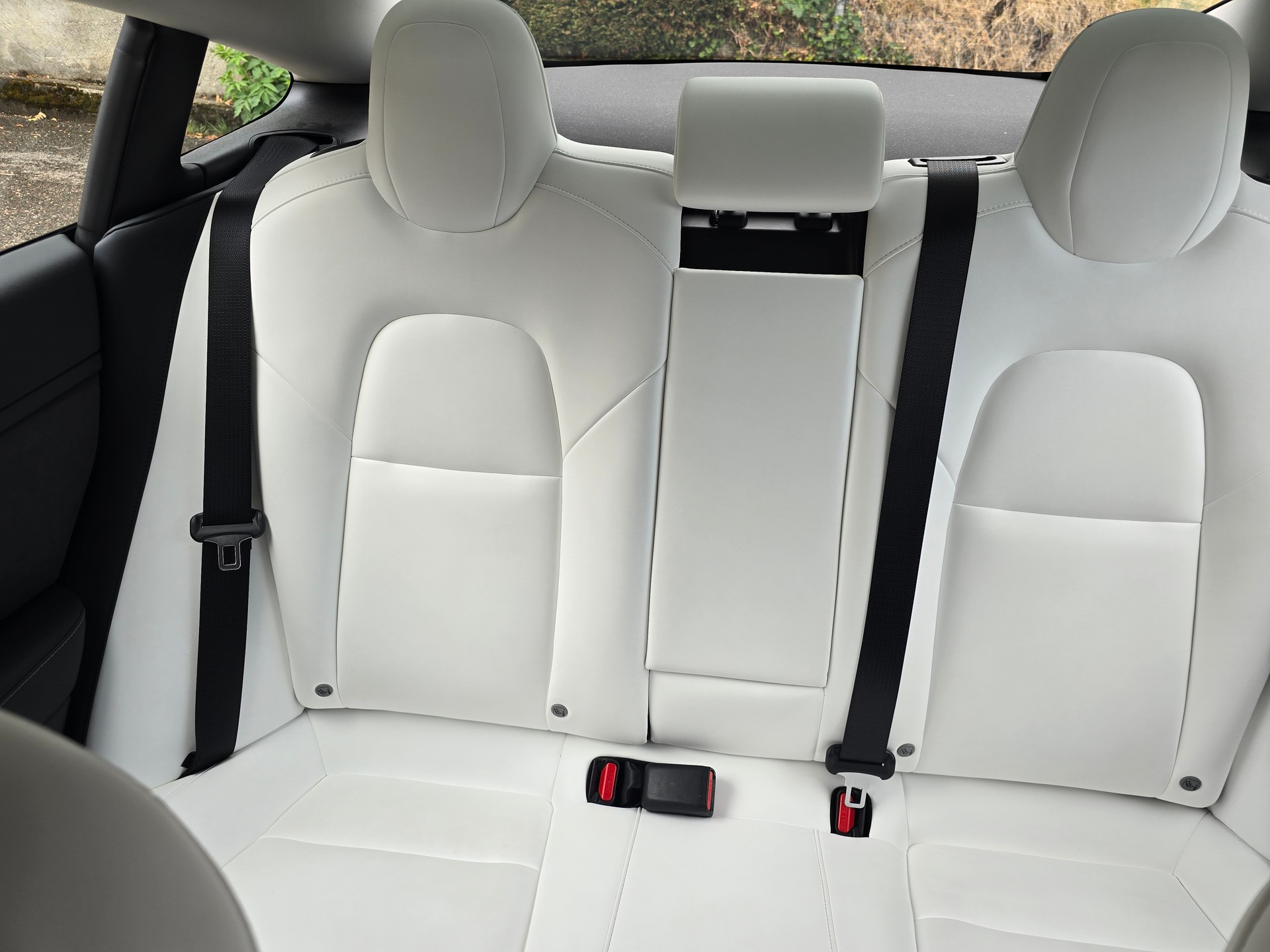 TESLA Standart Range Plus-image-15