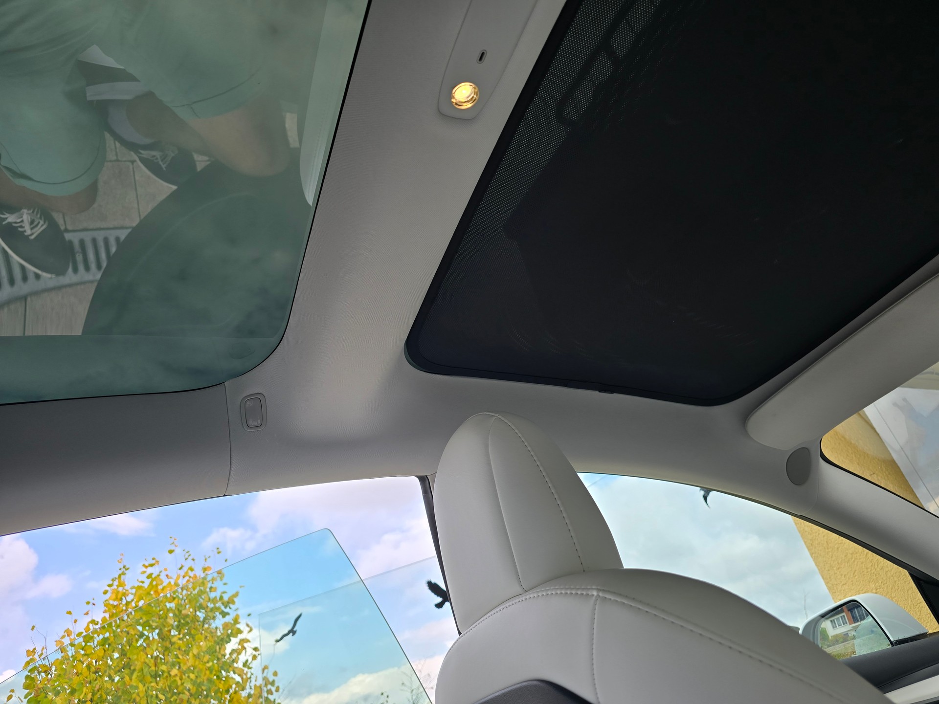 TESLA Standart Range Plus-image-13