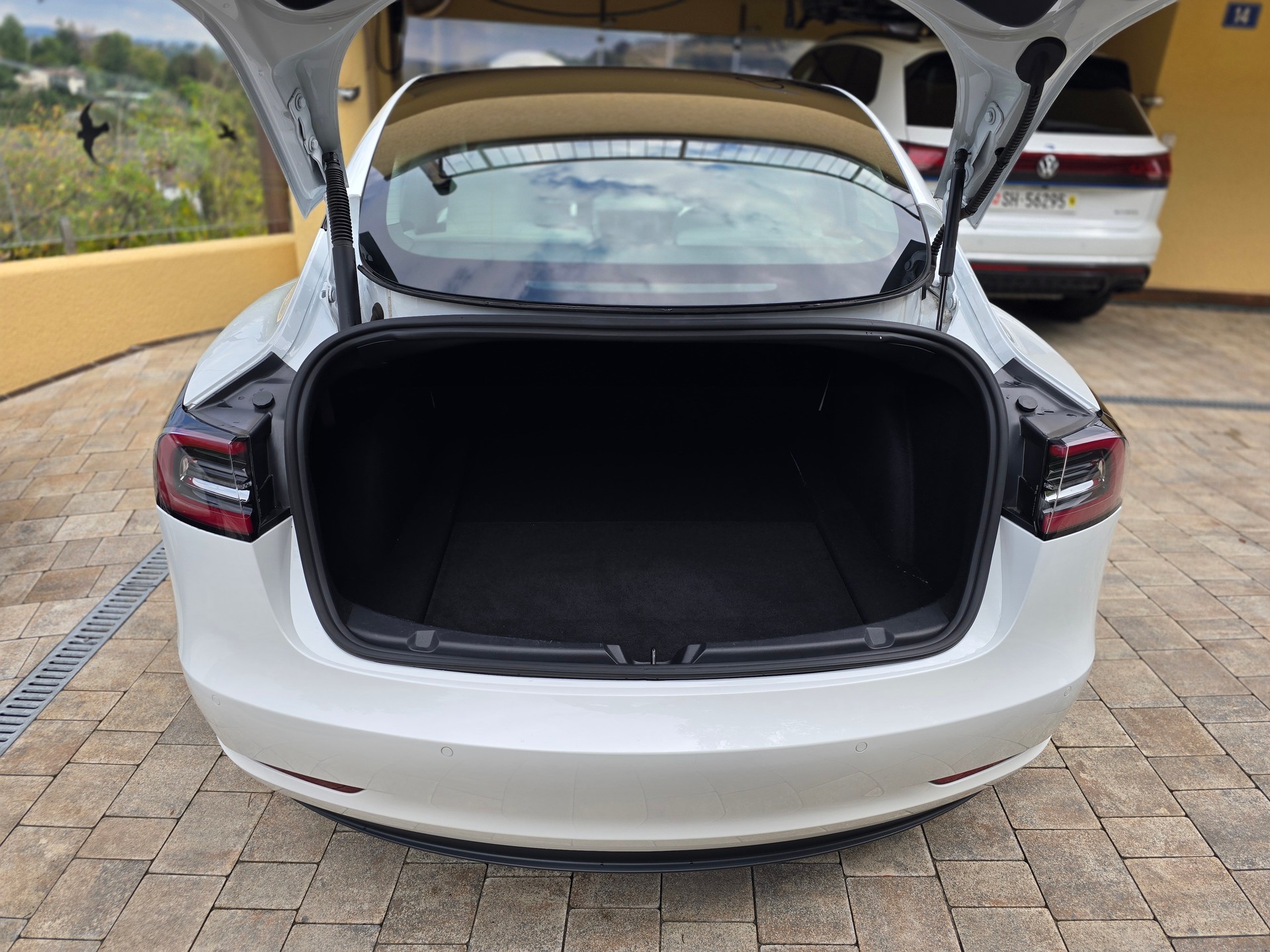 TESLA Standart Range Plus-image-7