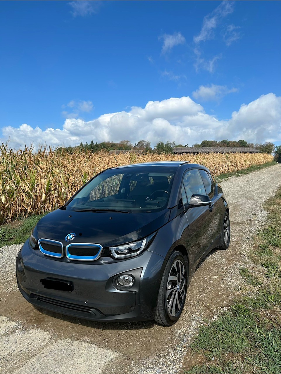 BMW E-Motor 94 Ah-image-0