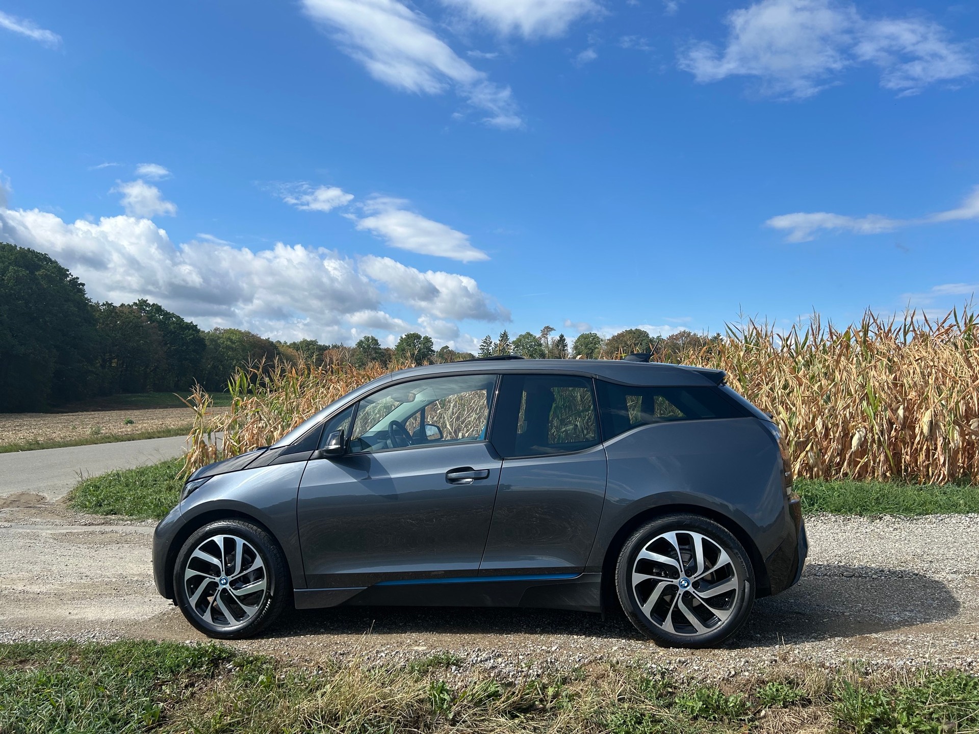 BMW E-Motor 94 Ah-image-1
