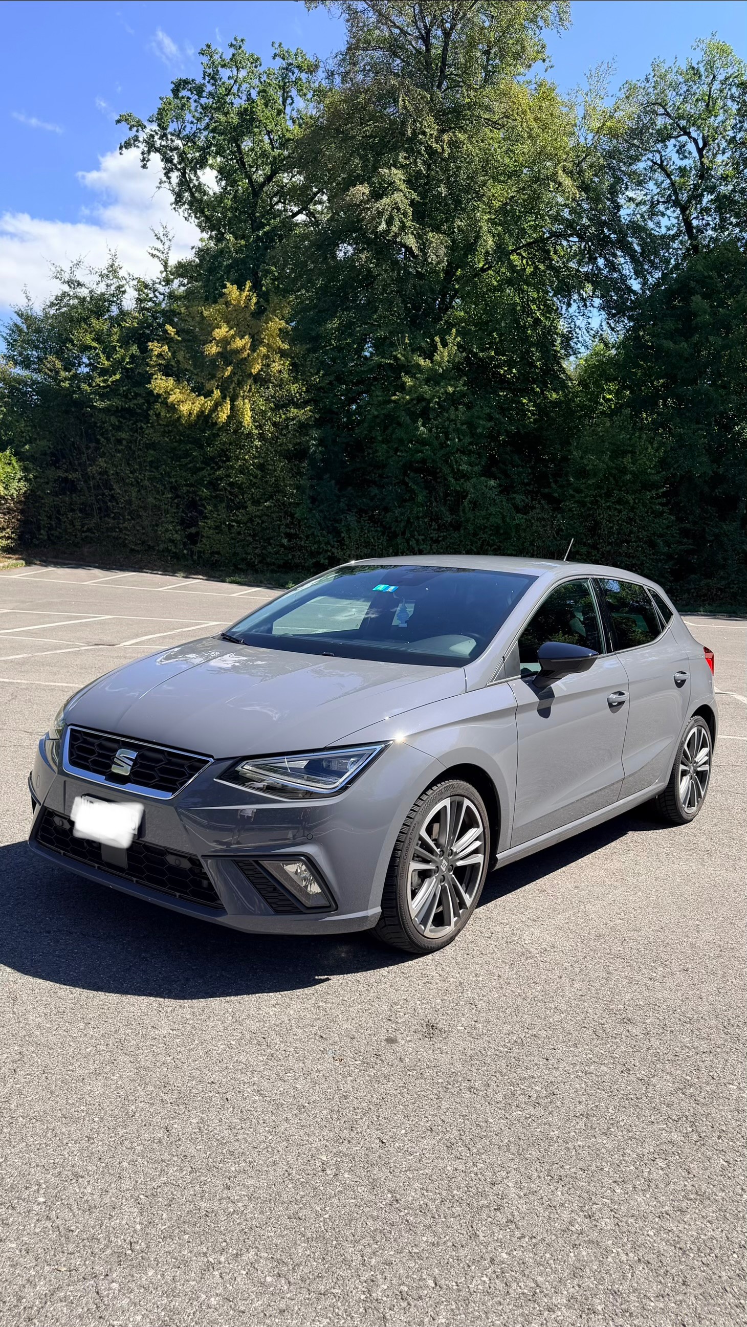 SEAT 1.0 TSI 115 Anniversary DSG-image-0