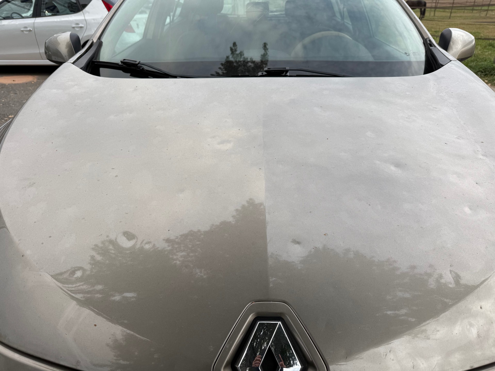 RENAULT Mégane 1.6 16V Dynamique-image-1