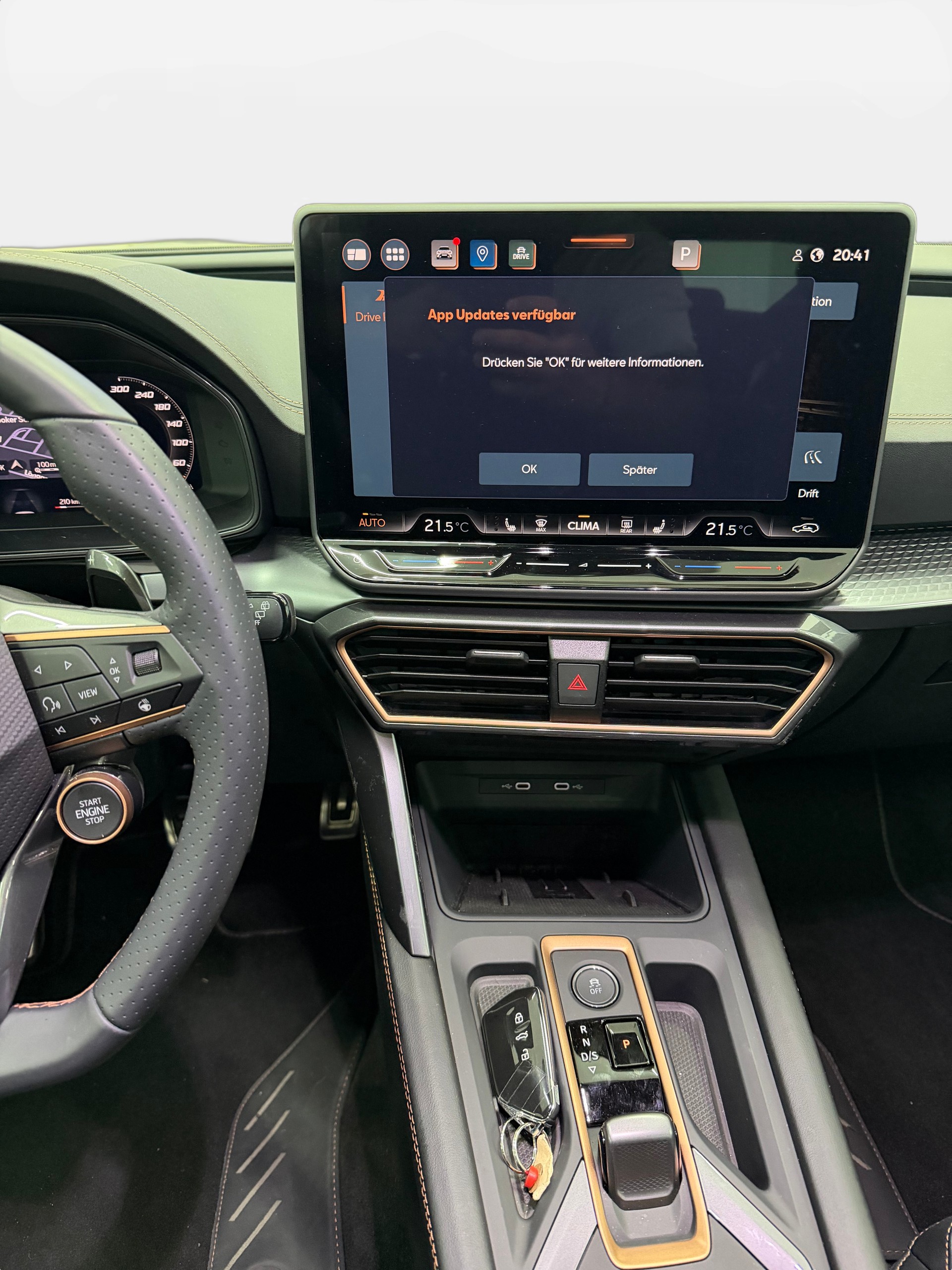 CUPRA Formentor 2.0TSI VZ 4Drive DSG-image-10